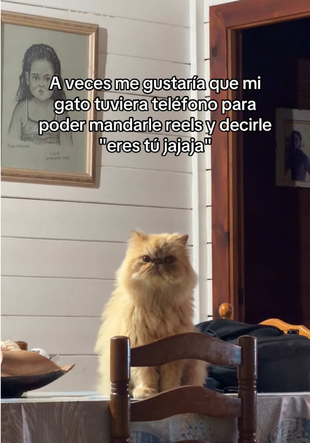 @Andreita 🤸🏽♂️