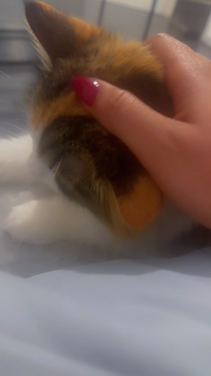 @Saba سبويه🦋🦋🐣🐣