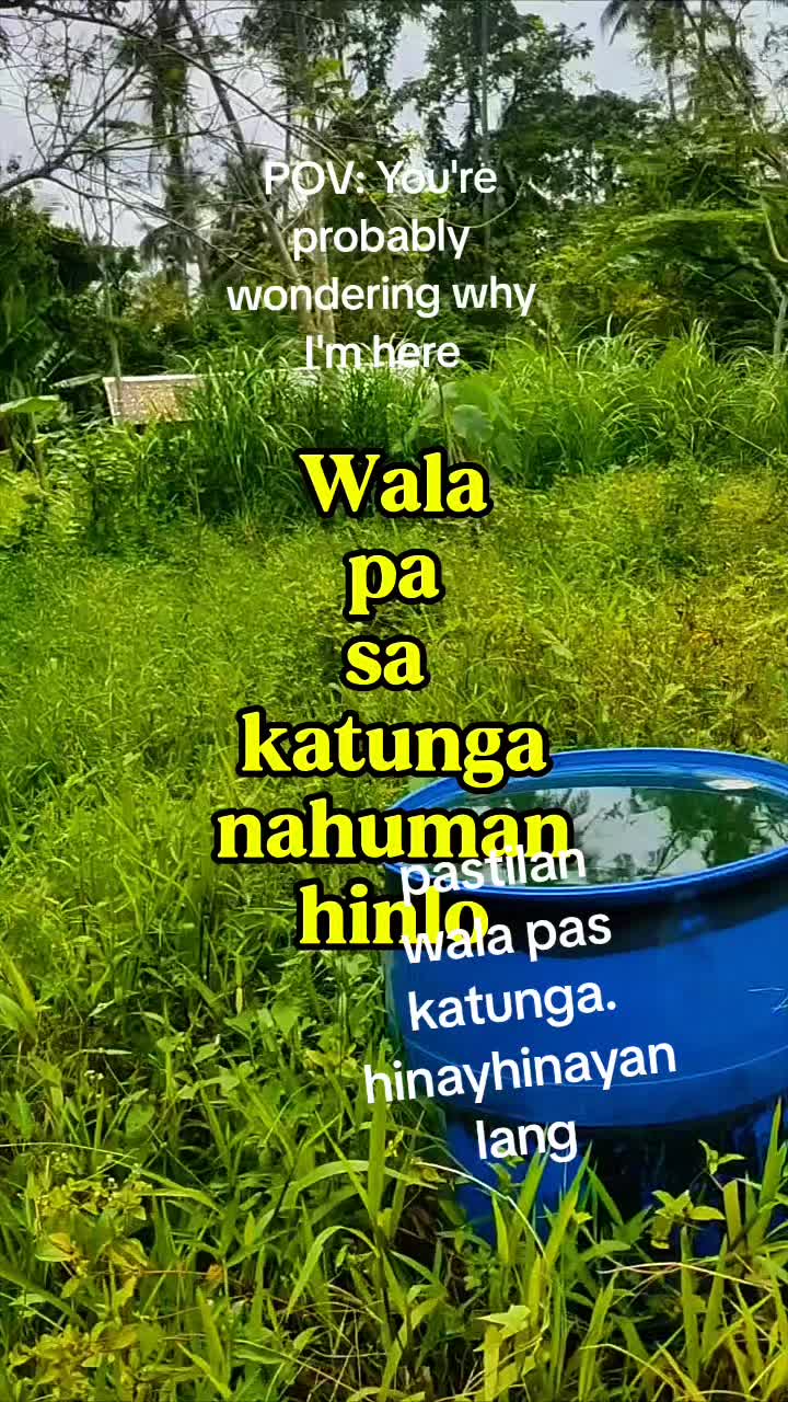 @Flores