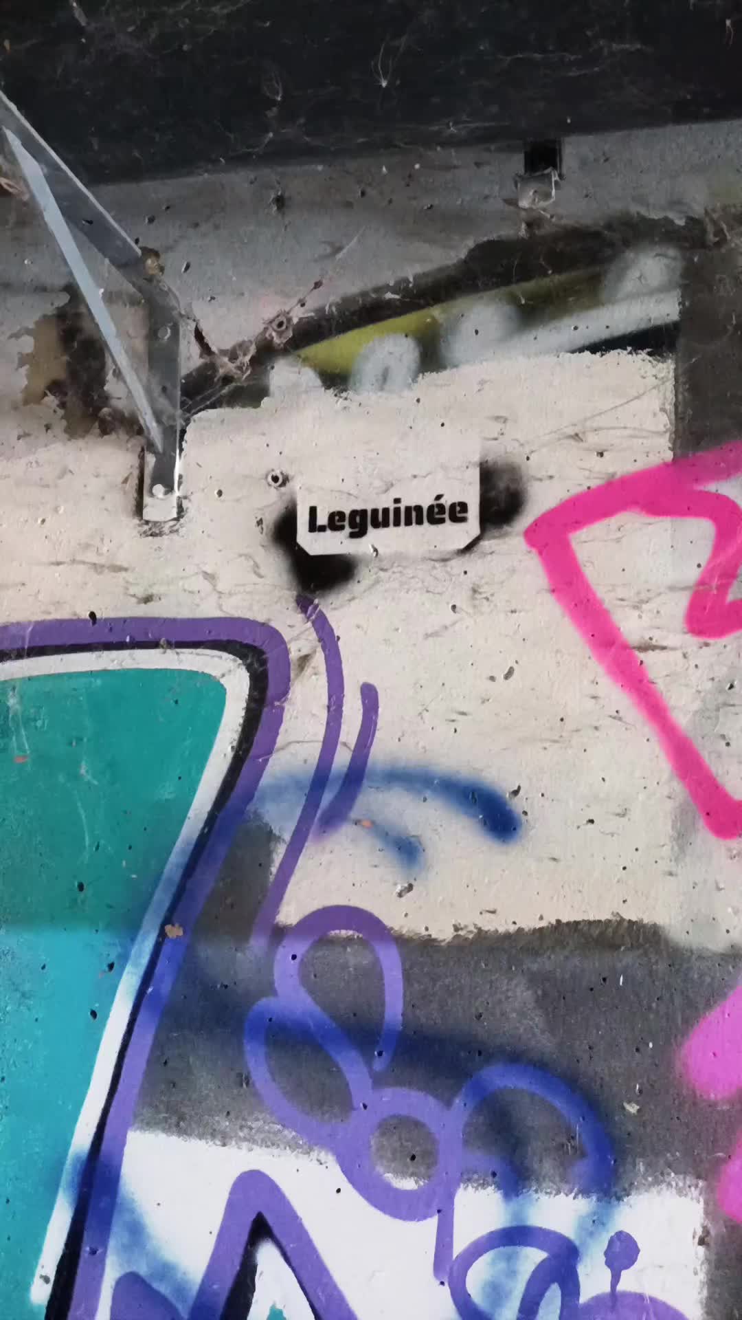 @noopunk