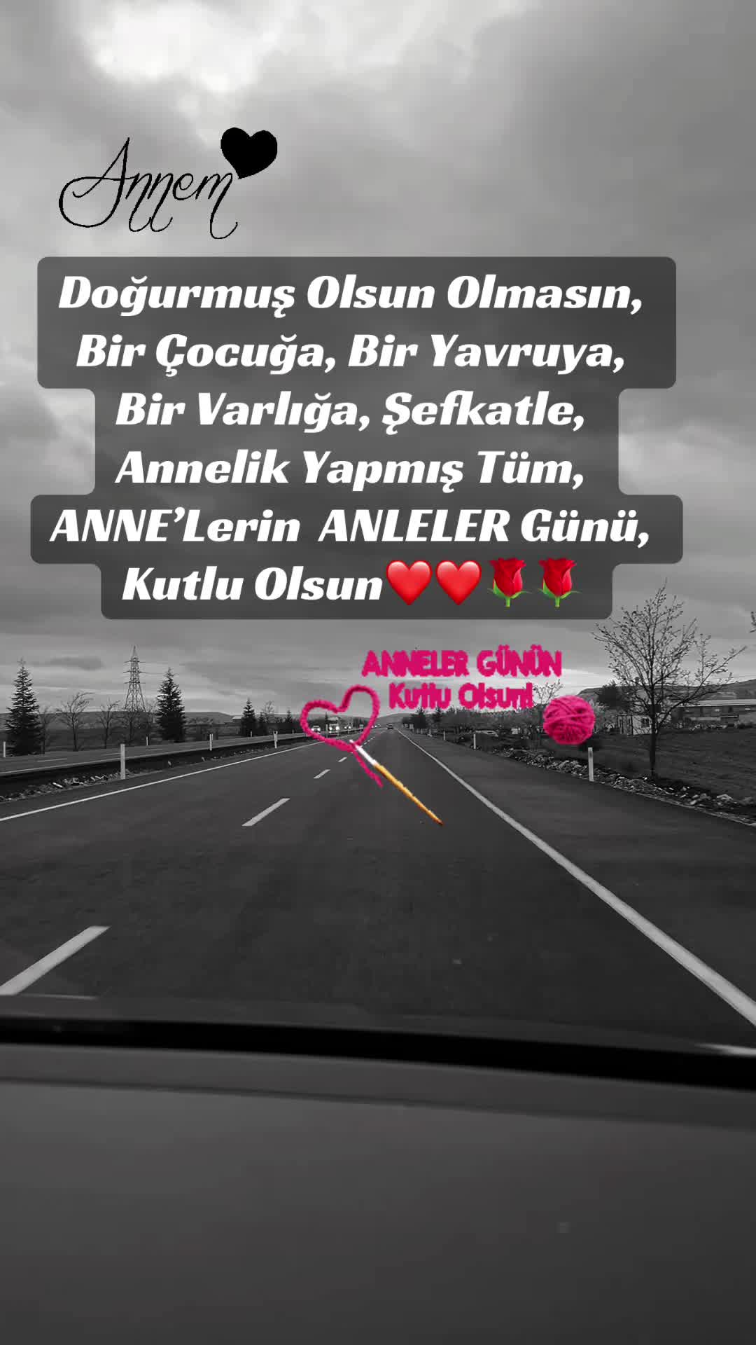 @✨🤍Ayliz_S🤍✨