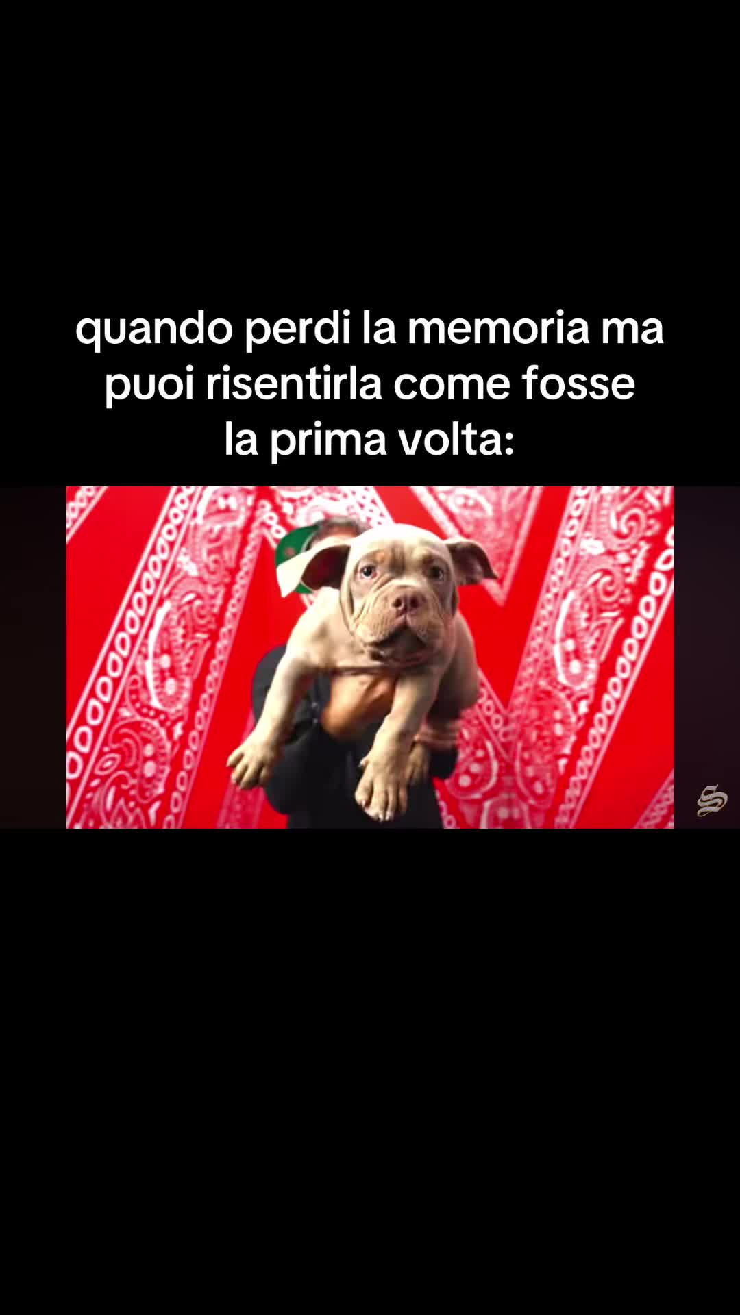 @irenee