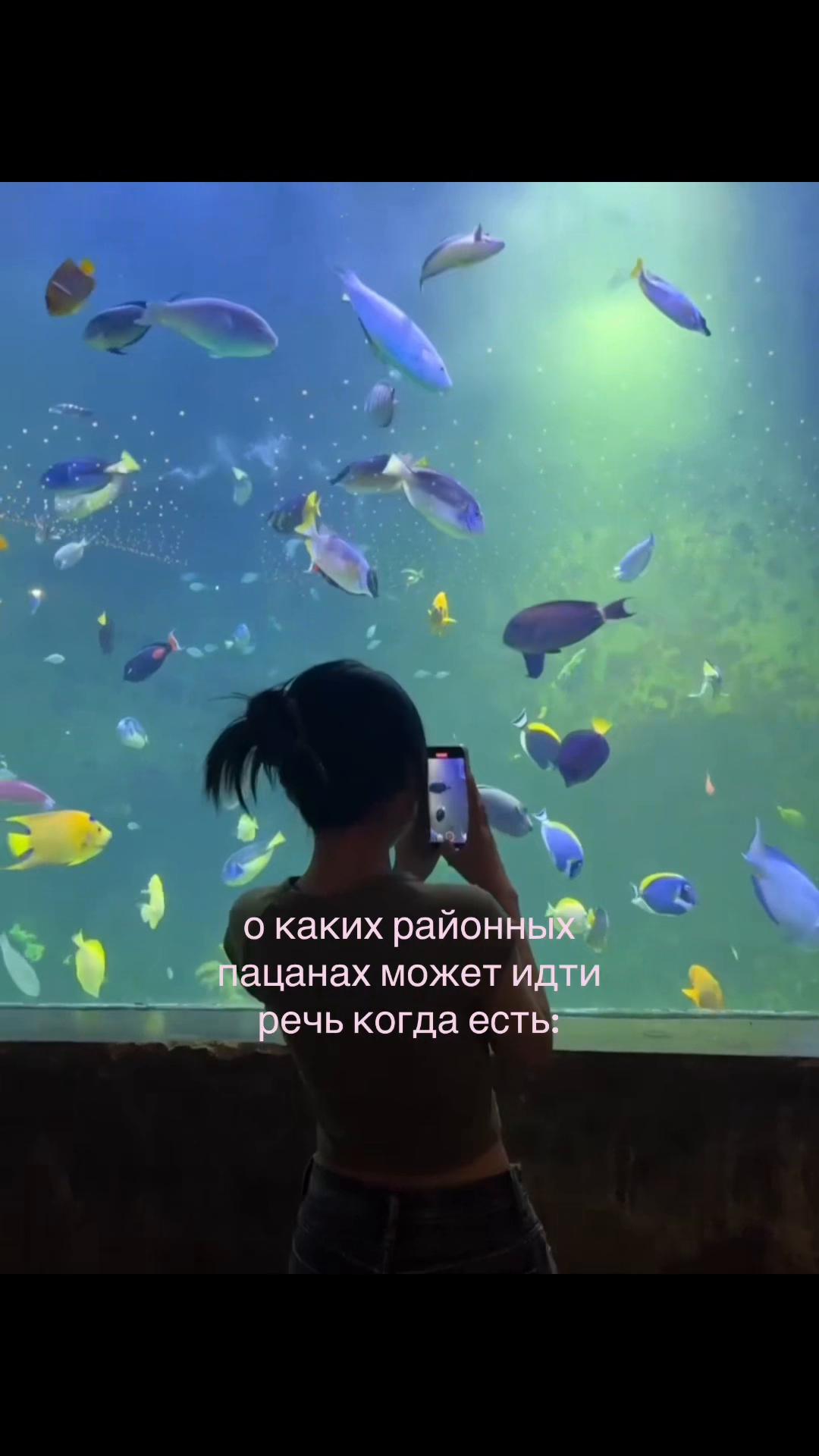 @Tynyq.
