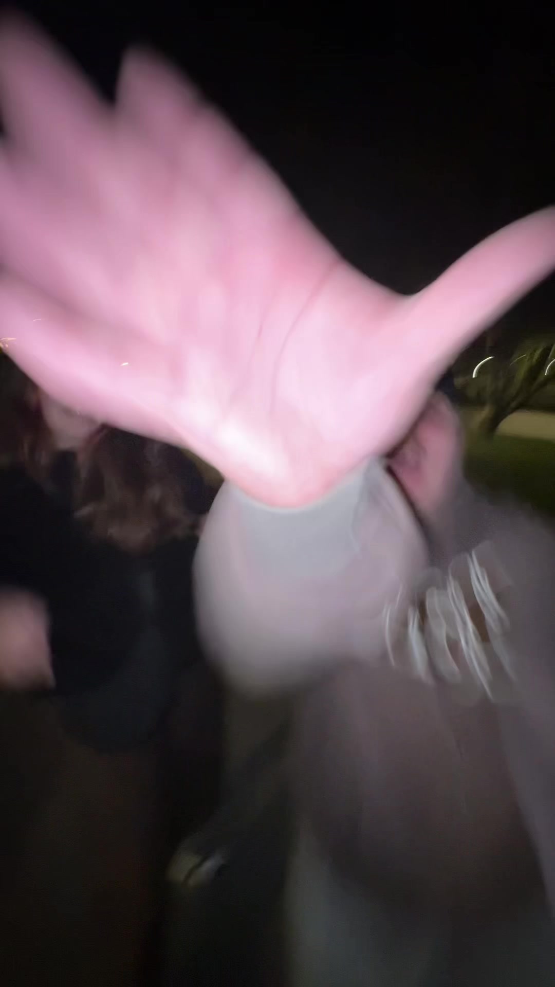 @Leo