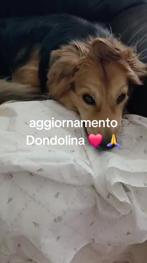 @Maria Rosaria Natill