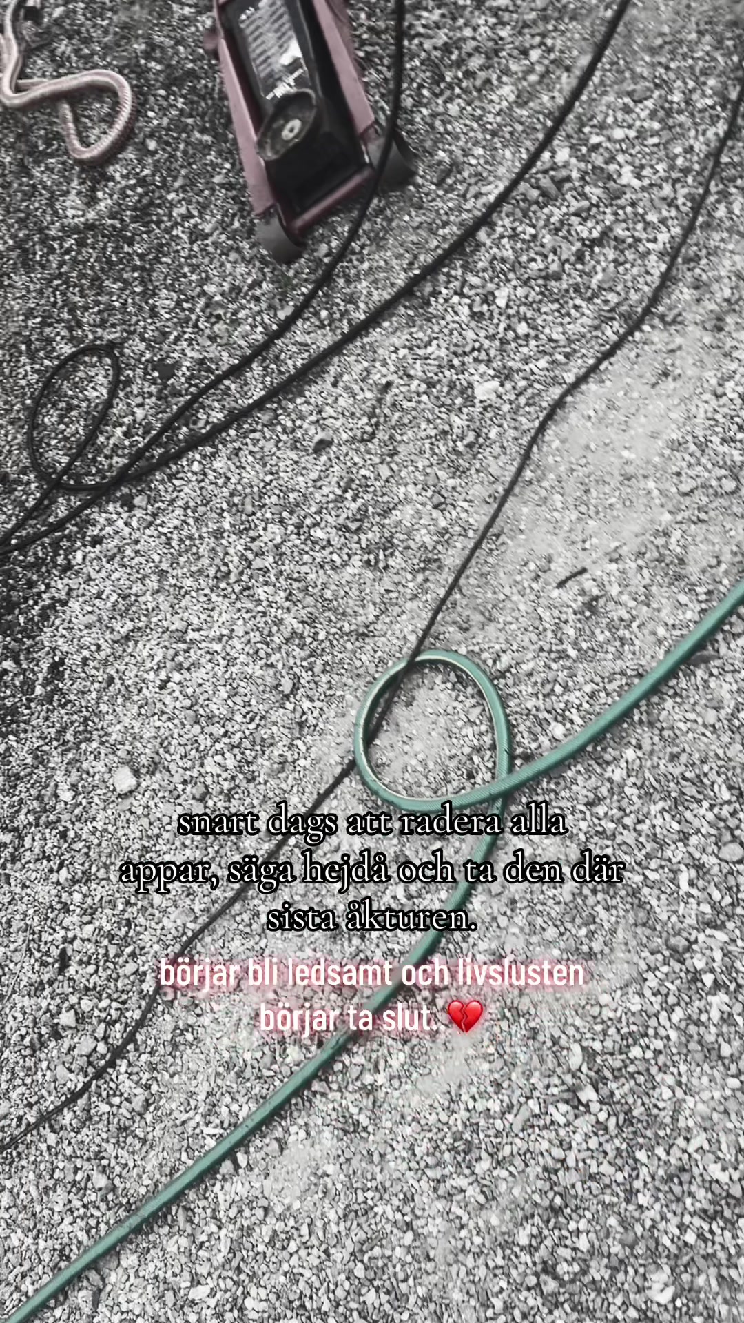@𝙴𝚖𝚒𝚕𝚜 𝚝𝚓𝚎𝚓❤️