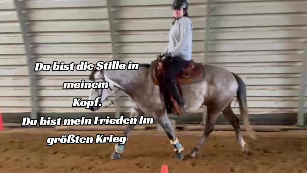 @Keckskrummel🍪