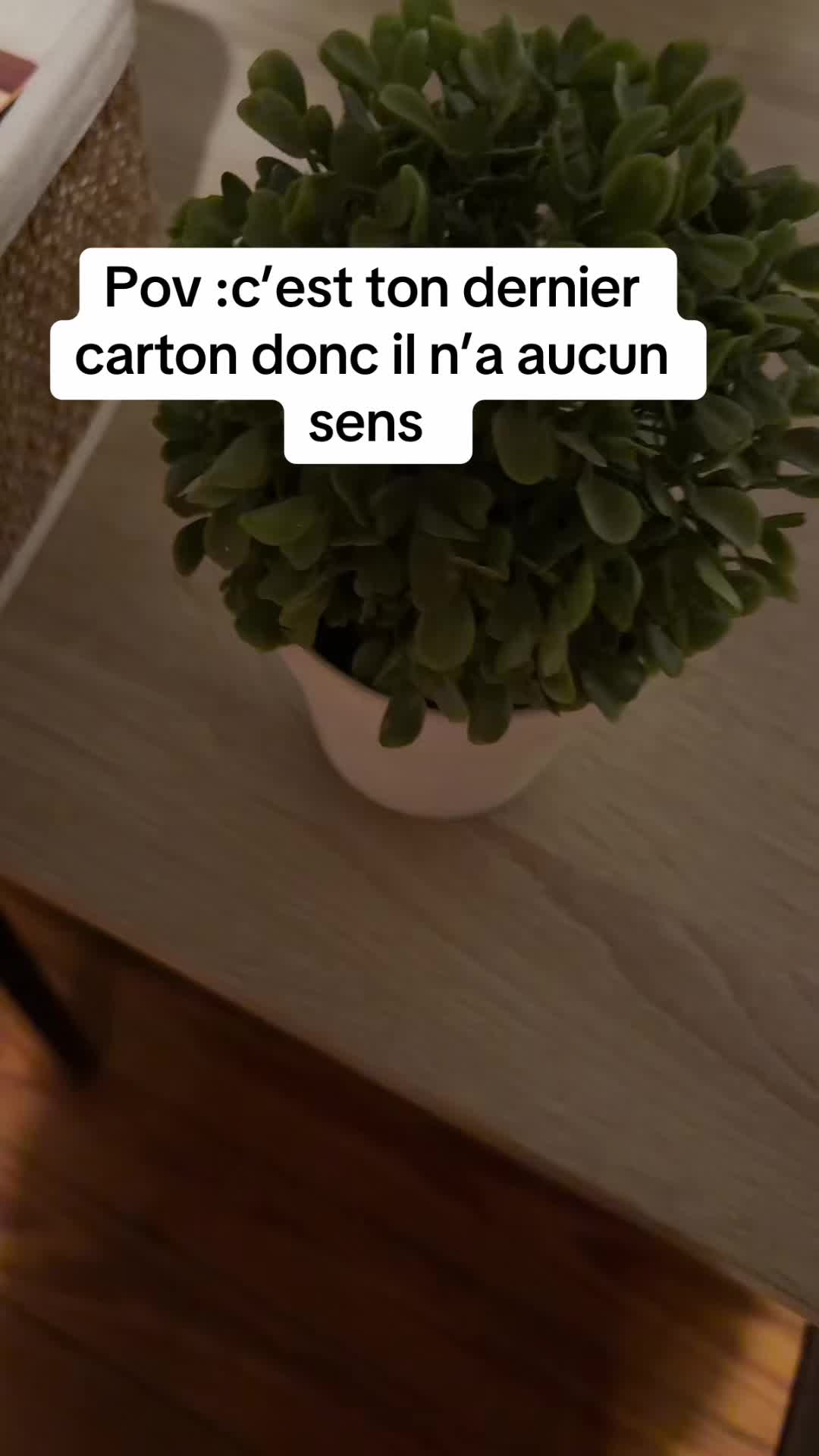 @Cat