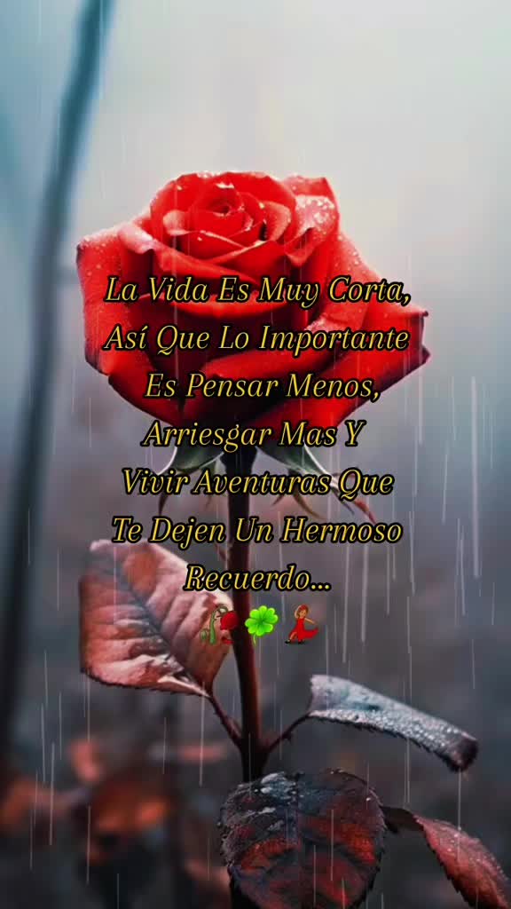 @🇳🇮Amore_mio🇪🇦
