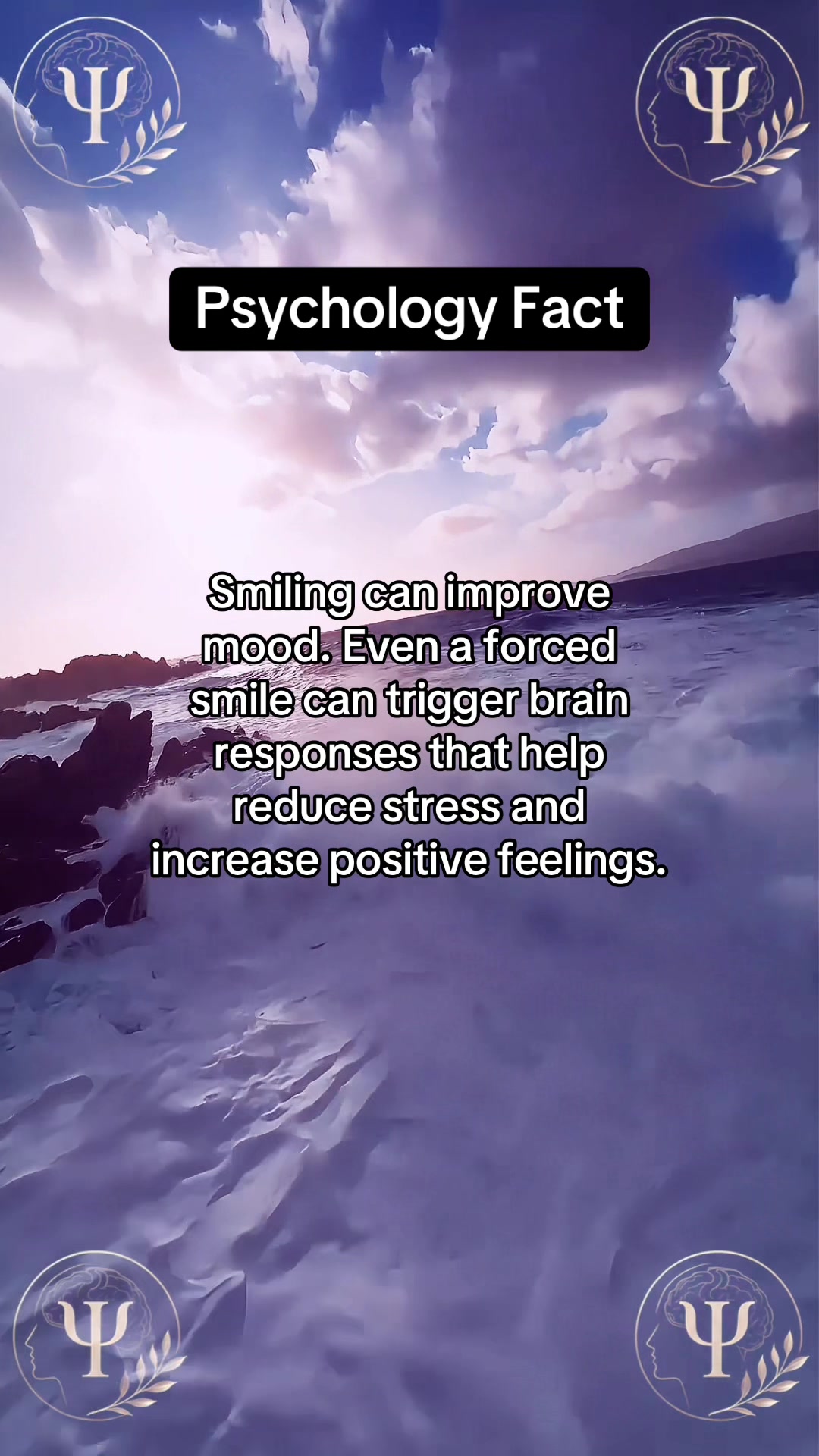 @MindGlitch