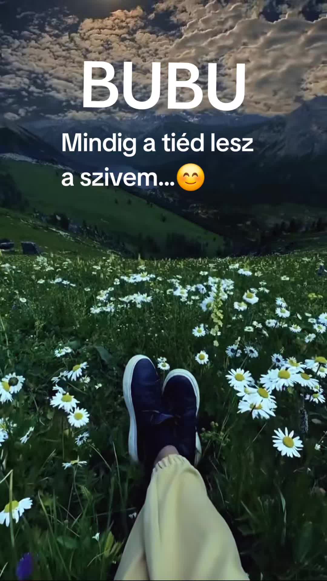 @KOLTAY.Z