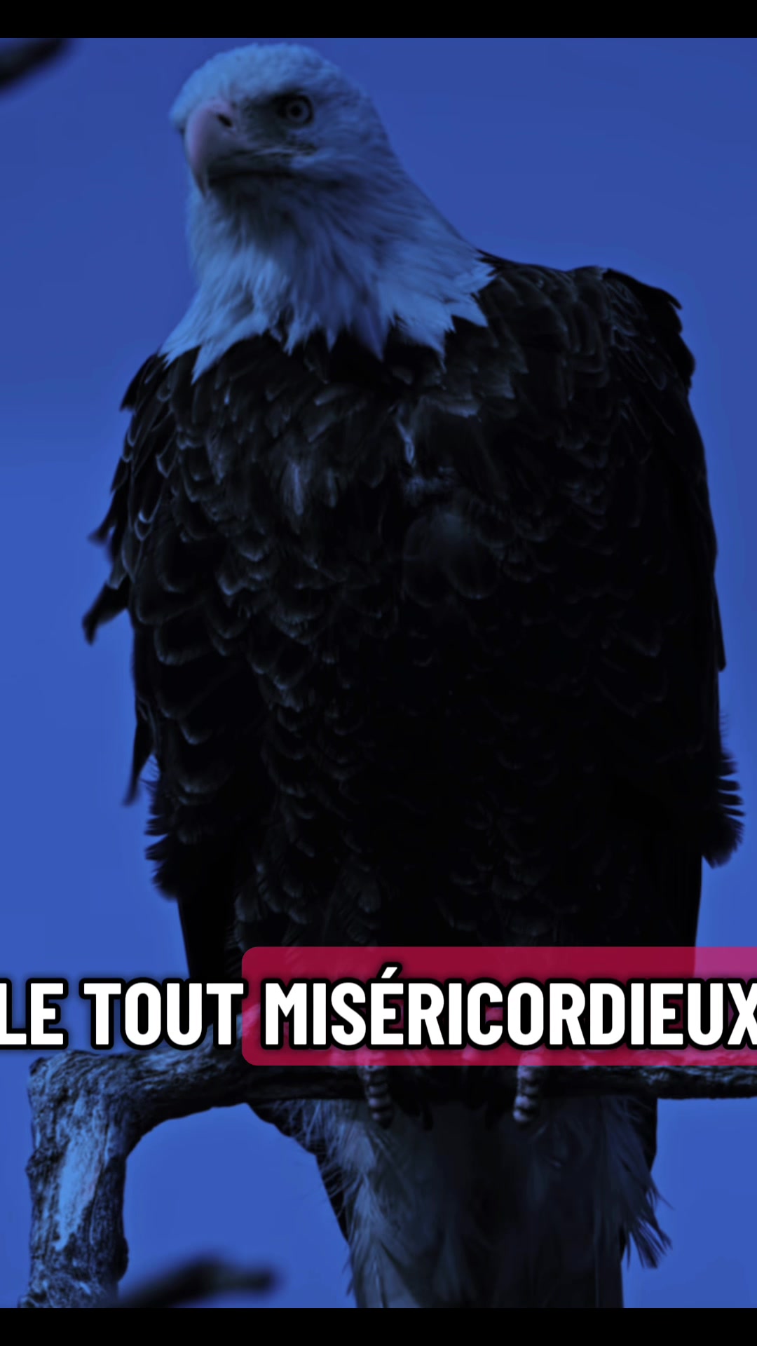 @rappelle islam ☪️
