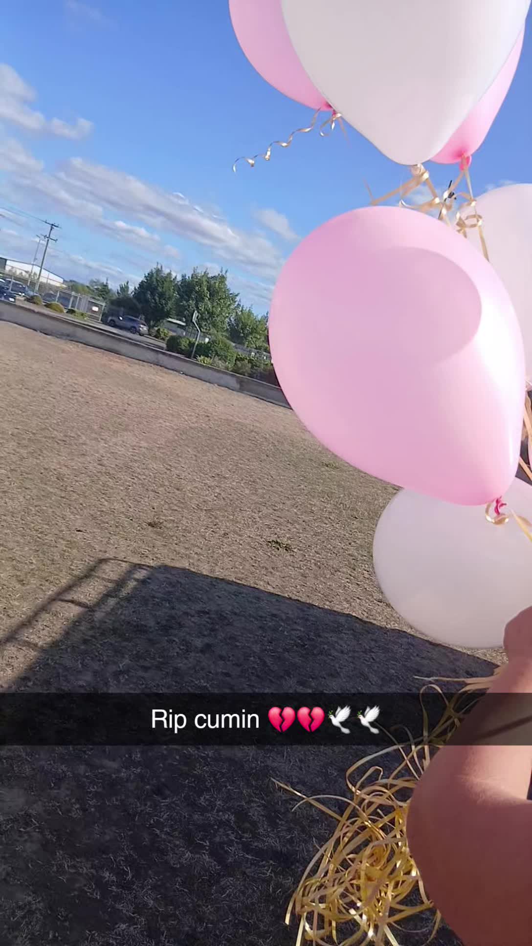 @BiddyOReilly