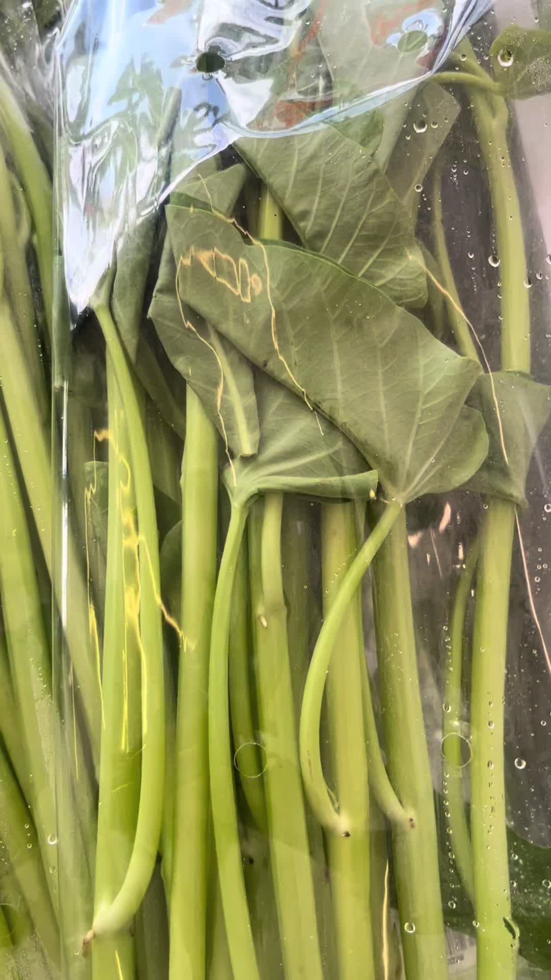 @thaifooddirect