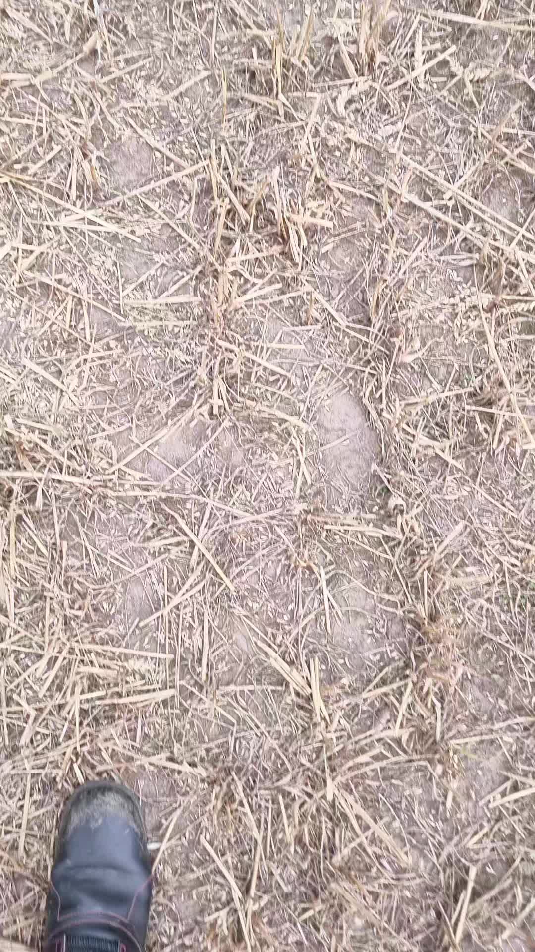@Lantbruk är livet🚜🤠🌾