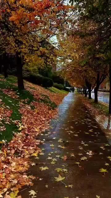 @..............