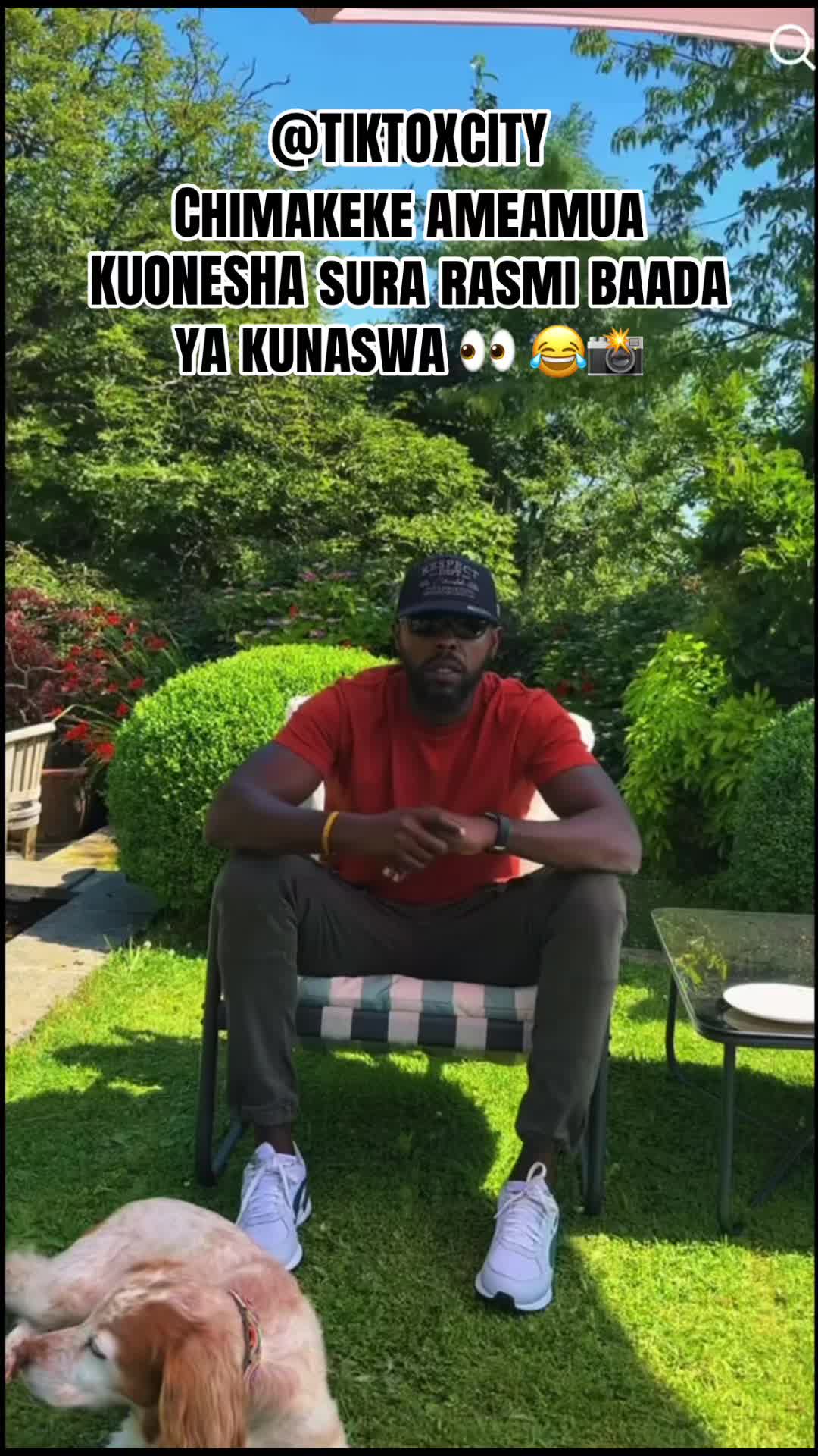 @TIKTOXCITY 👀