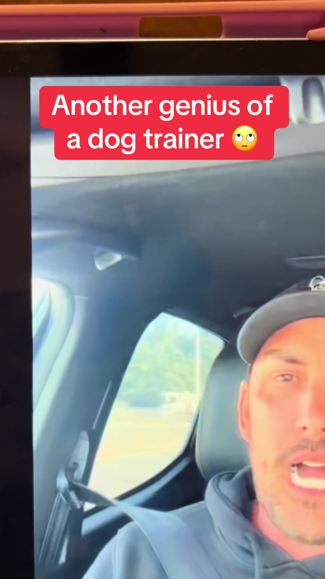 @Pipstar 🐕&zwj;🦺