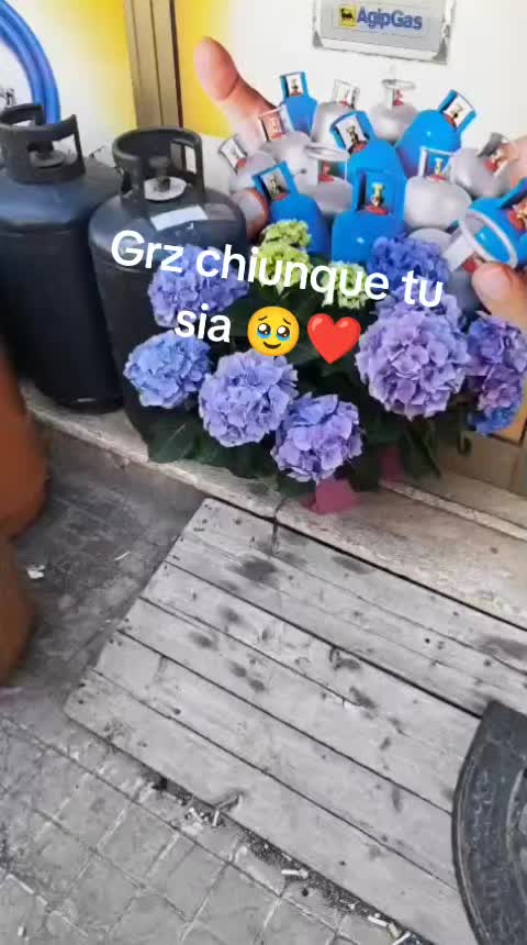 @Zuccherina La Queen👑