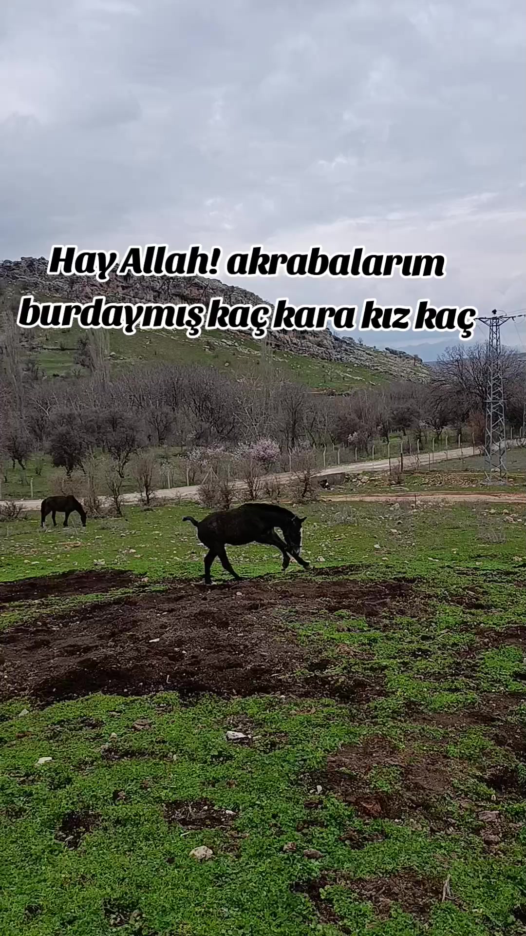 @gundilokk21