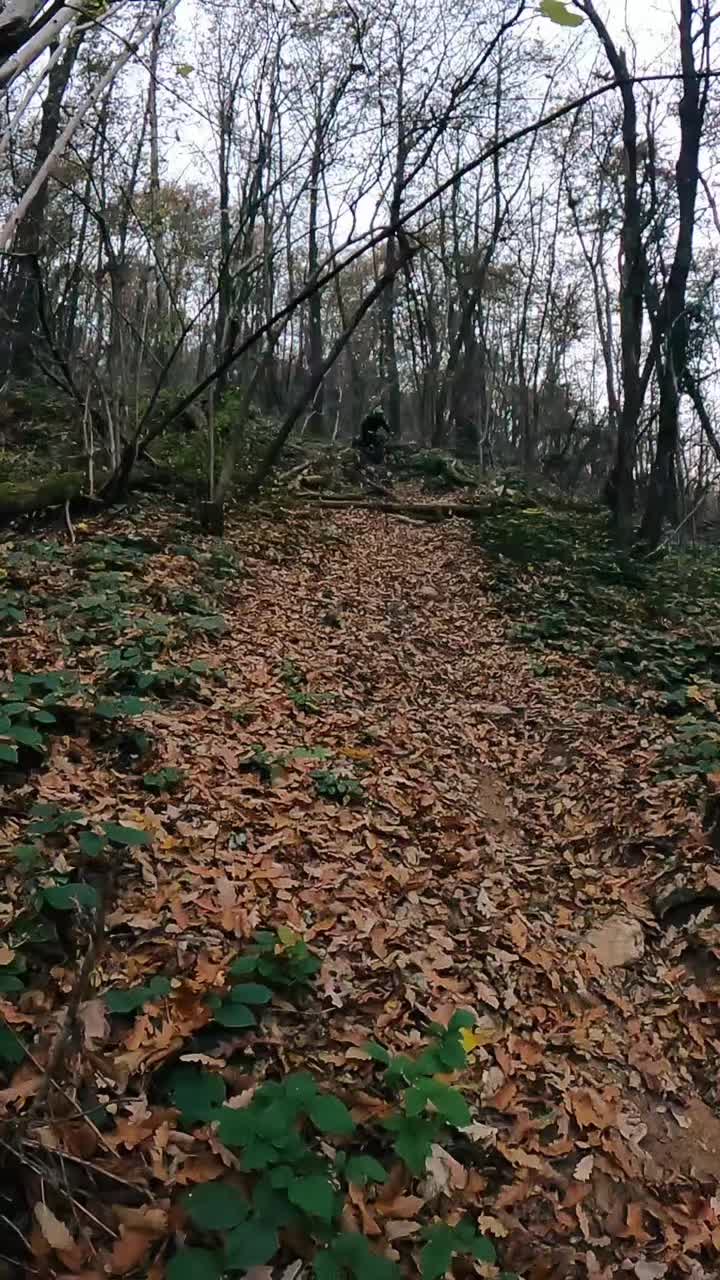 @Matteo Pegoraro