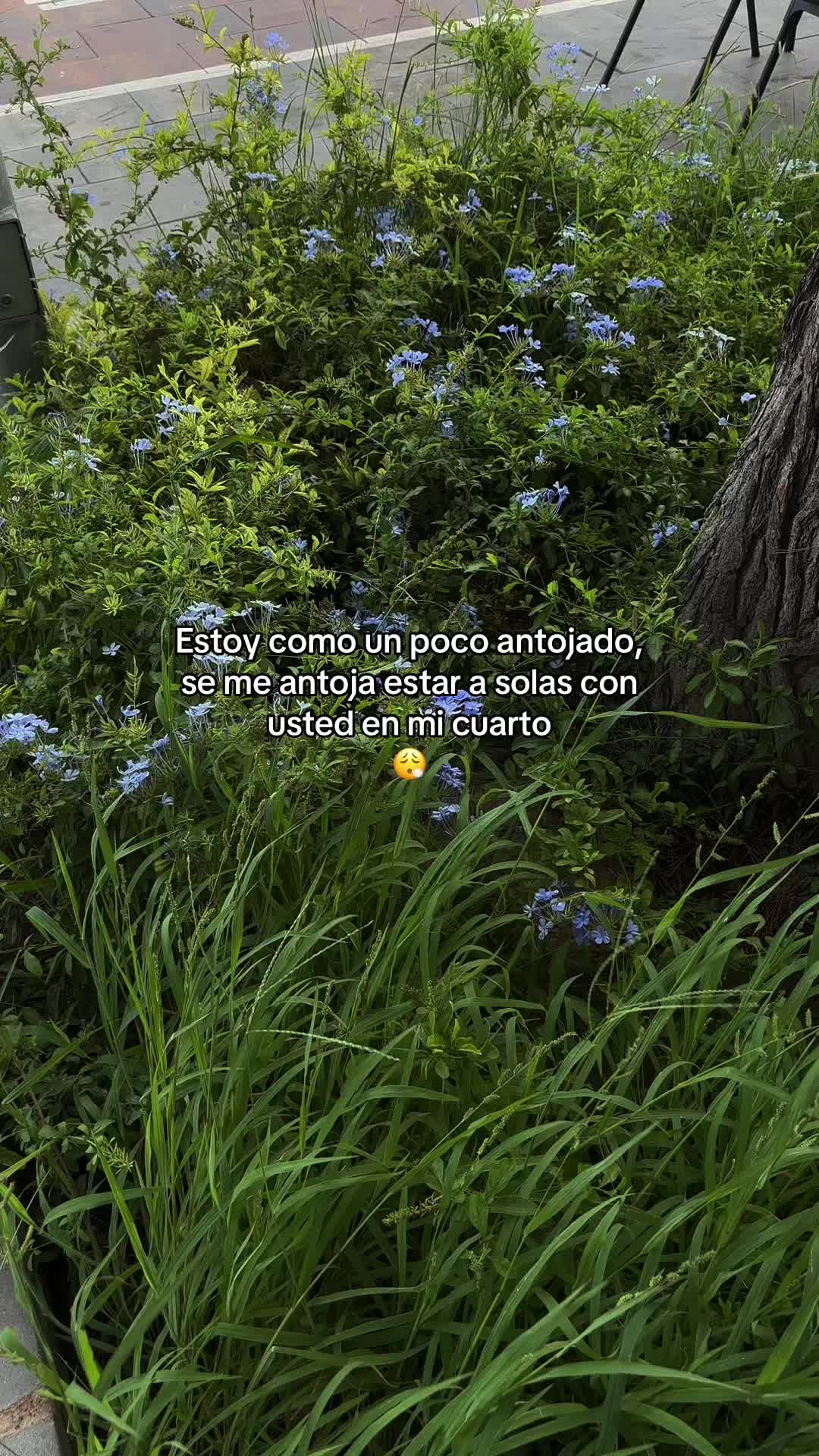 @🖤Frases🤍