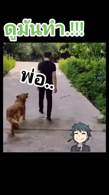 @@ไข่ตุ๋น