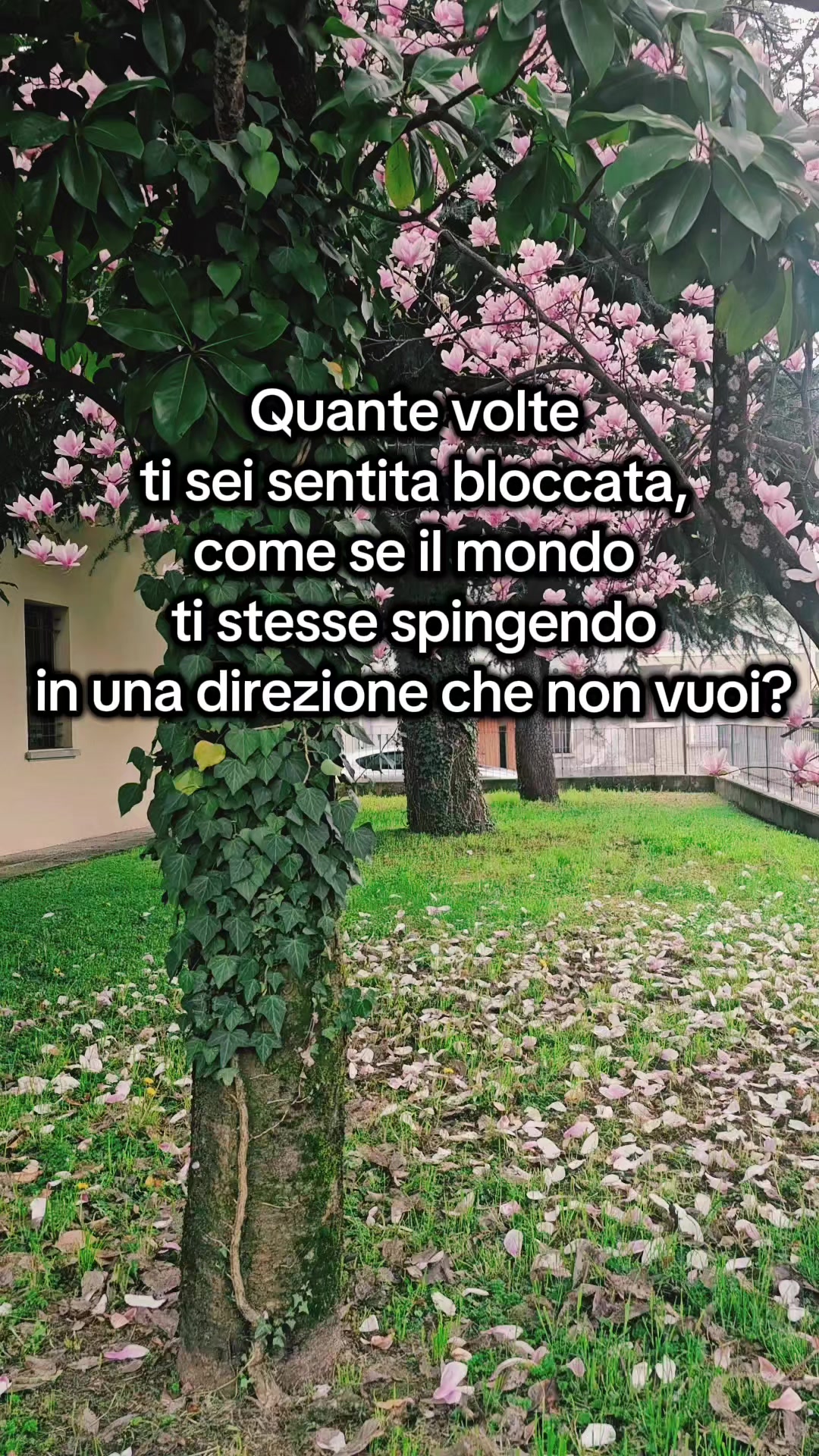 @Alice_digitalmarketing