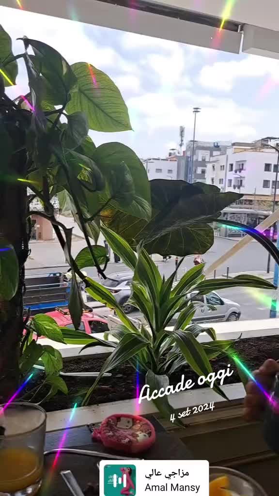 @Casawia