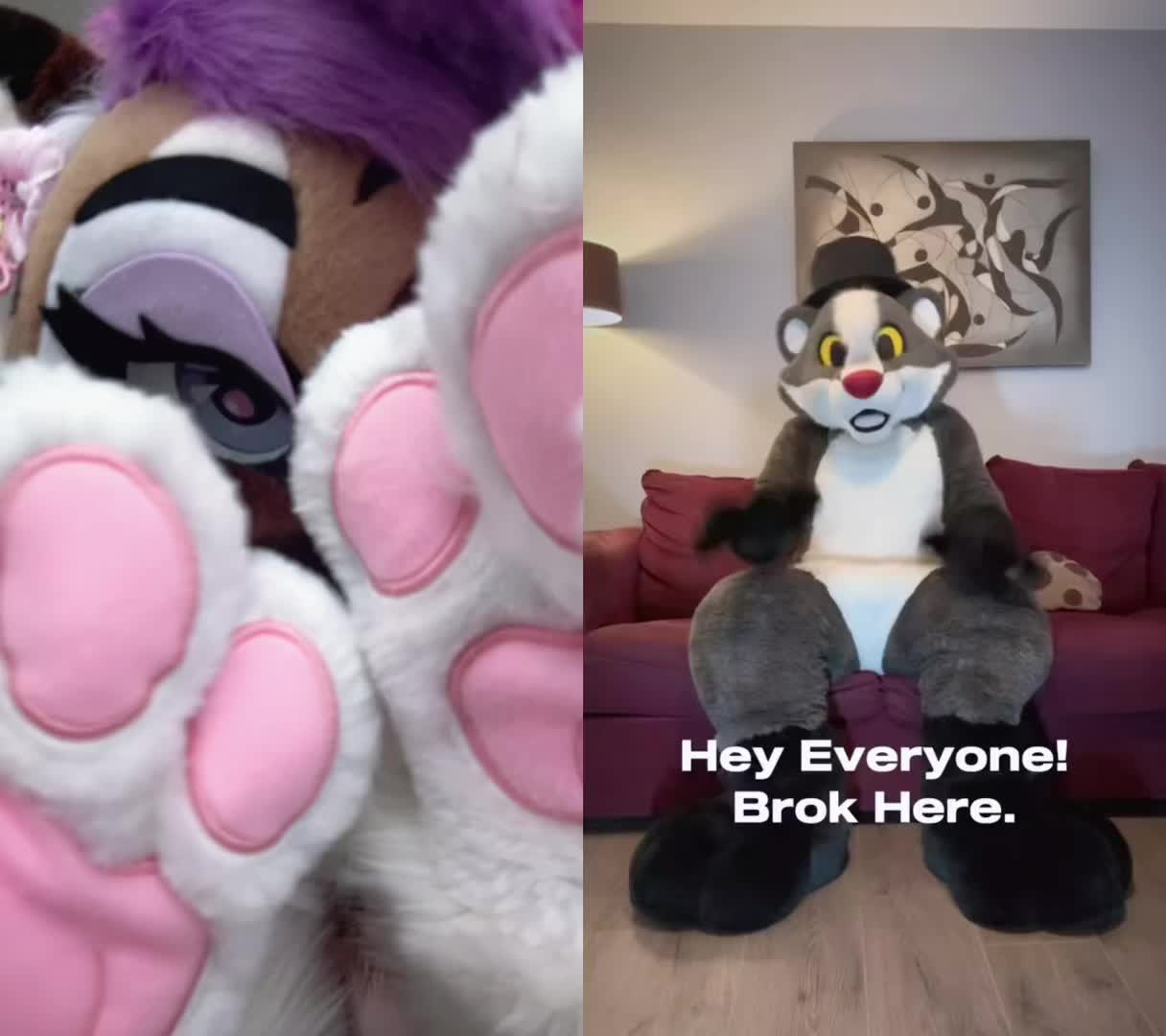 @🤍🎀 𝓐𝓷𝓰𝓮𝓵 🎀🤍CFZ2026
