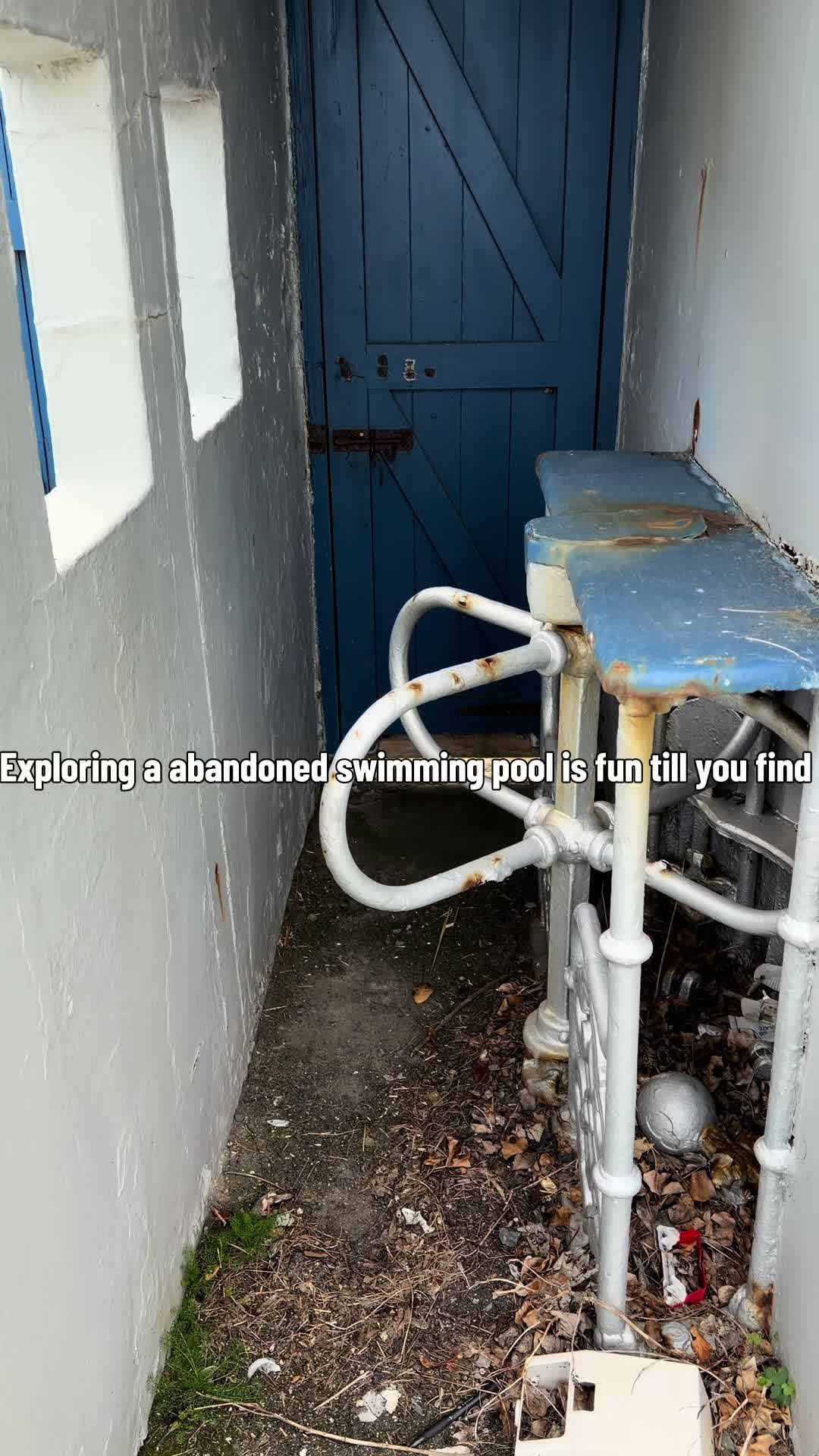 @Abandoned-709