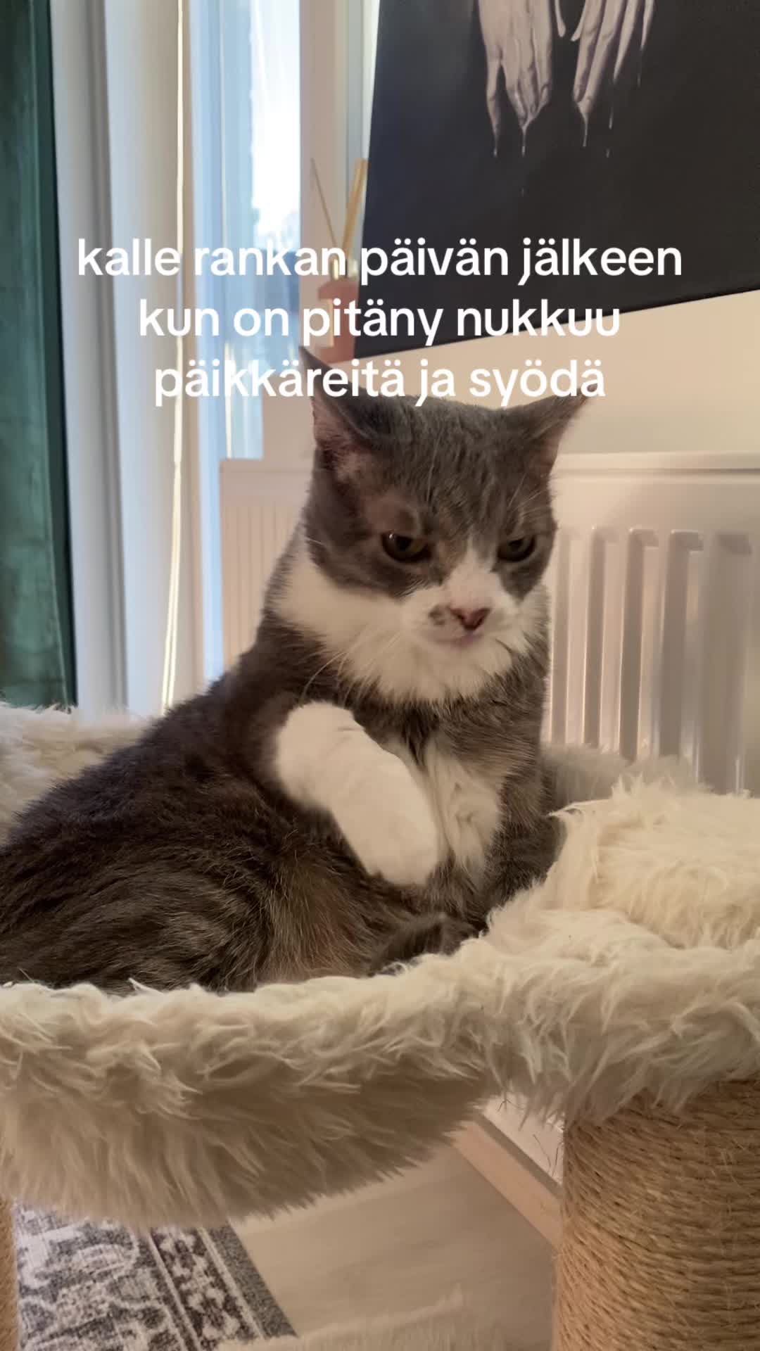 @Meeri