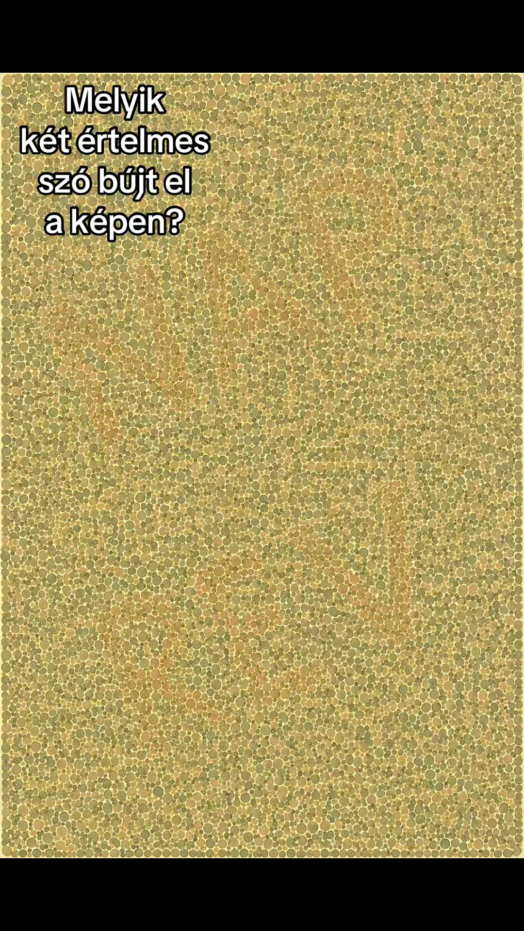@Játssz velem naponta