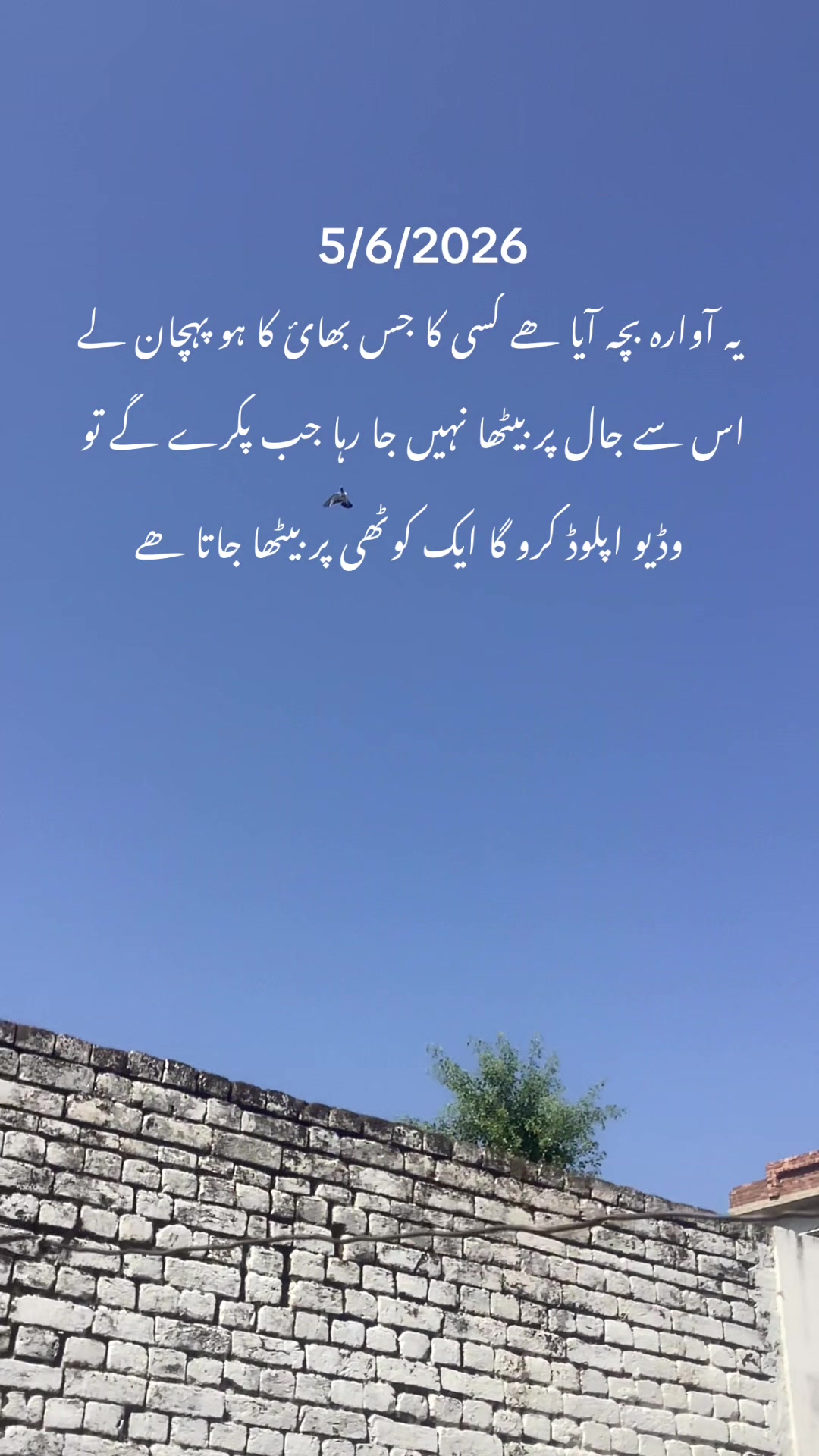 @hassnani68