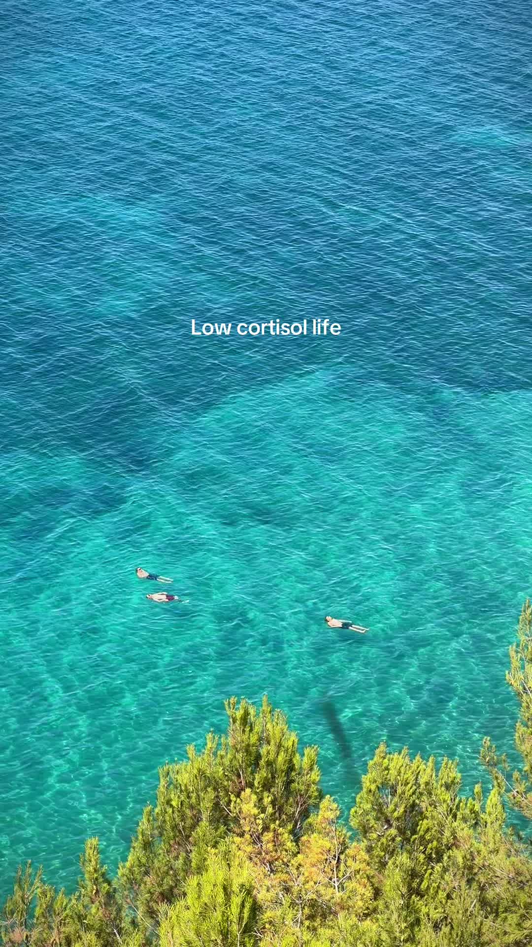 @Portoroz_and_Piran