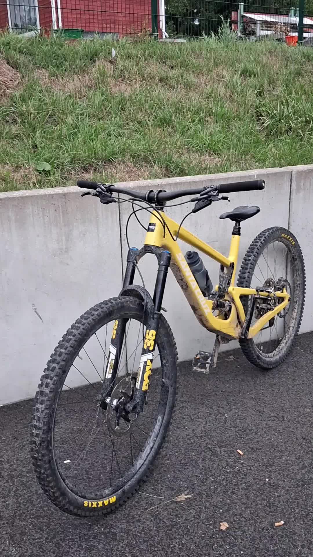 @Marlonebohne 🦫