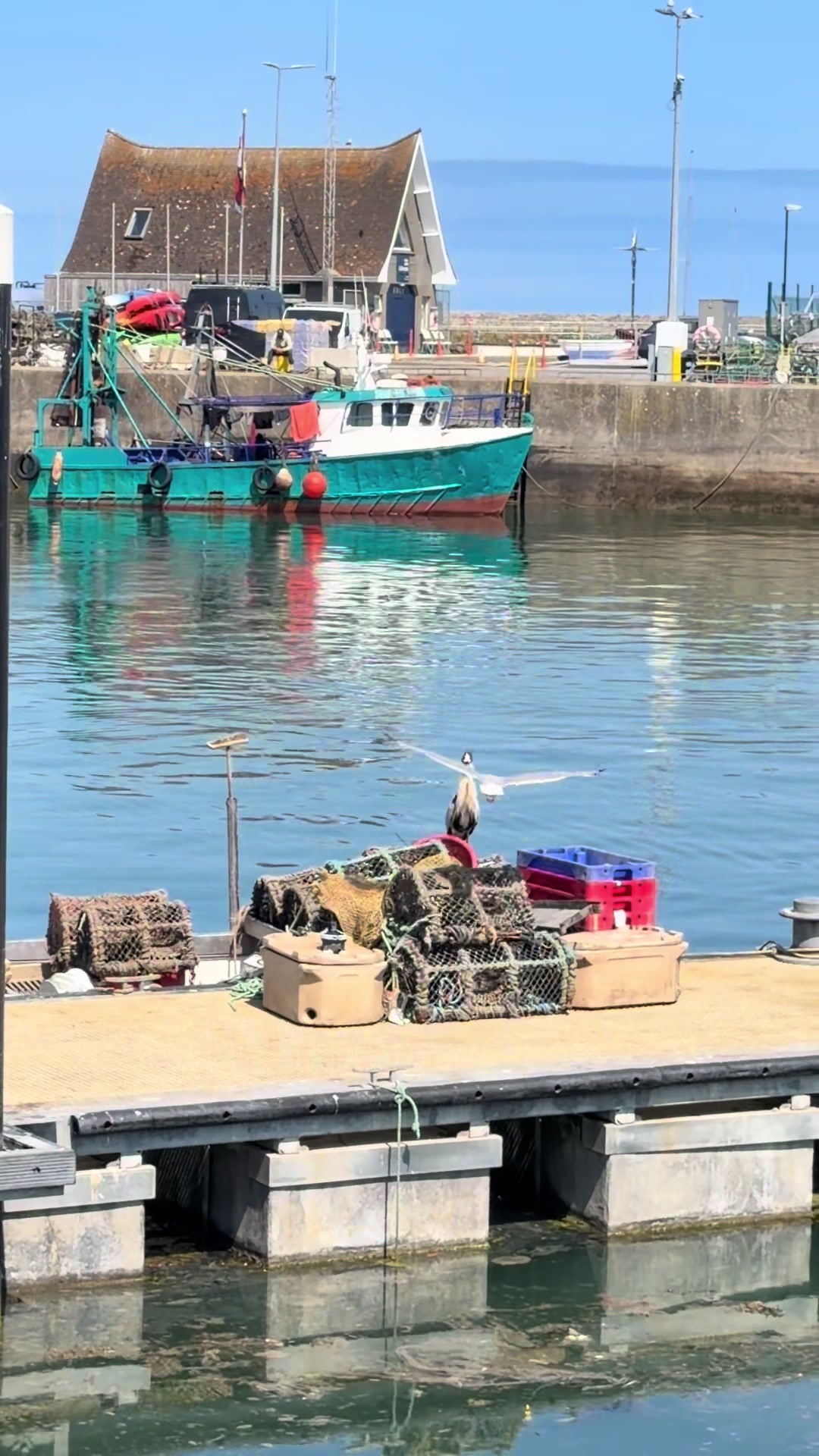 @Hidden Howth Experiences