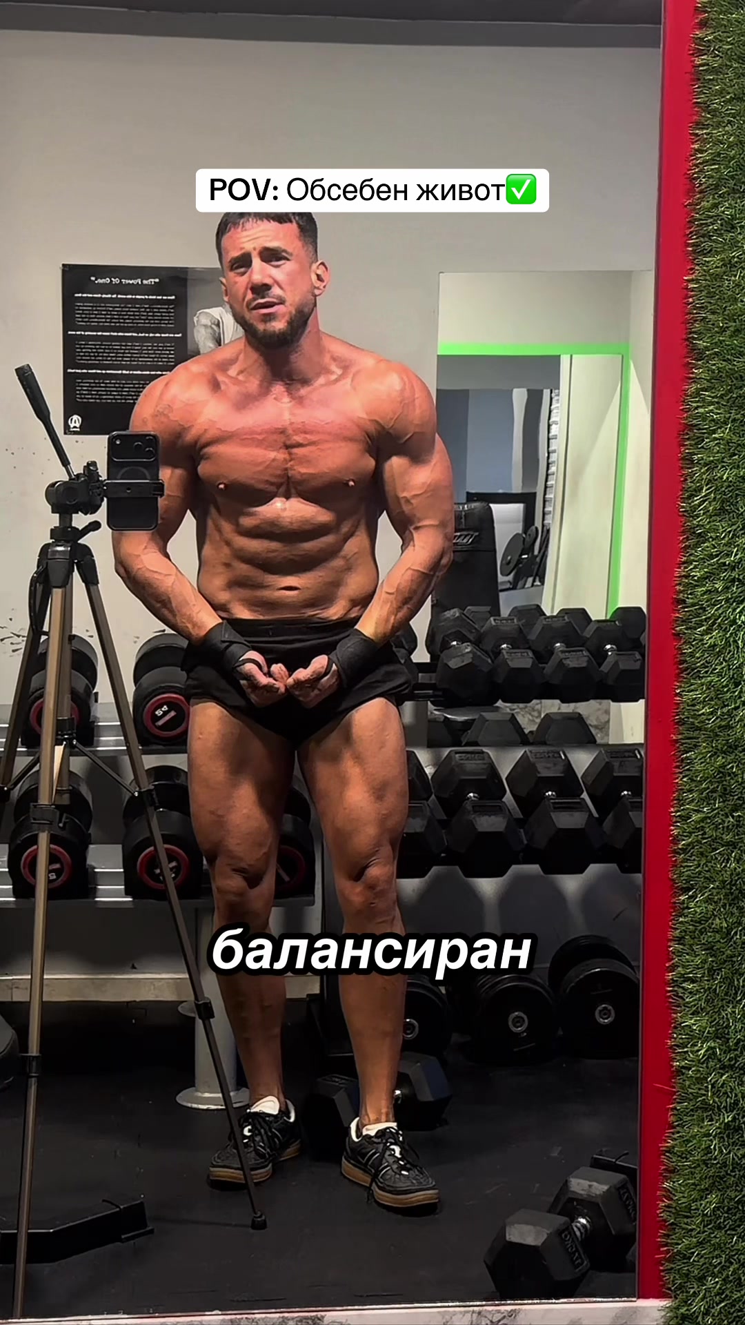 @alexfitaura
