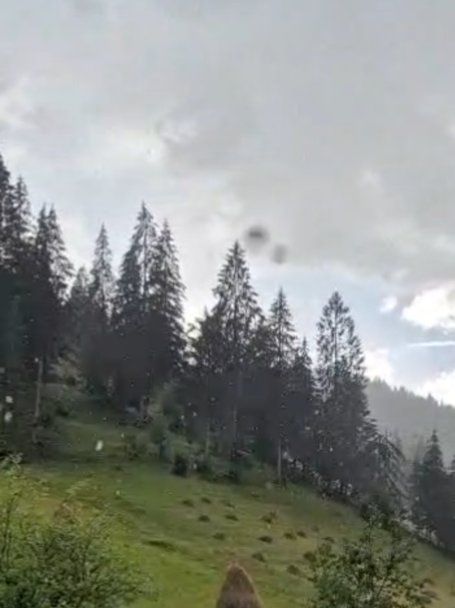 @Cristina Ioana Pașca