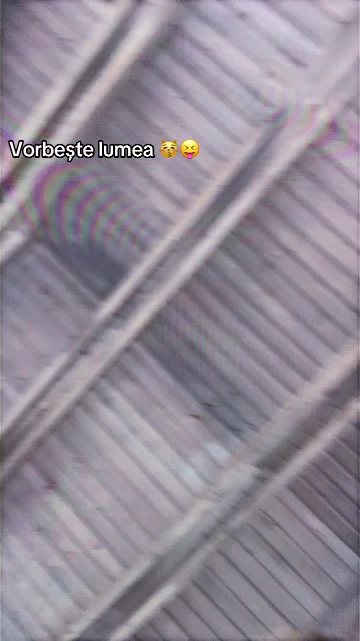 @crisscrisii