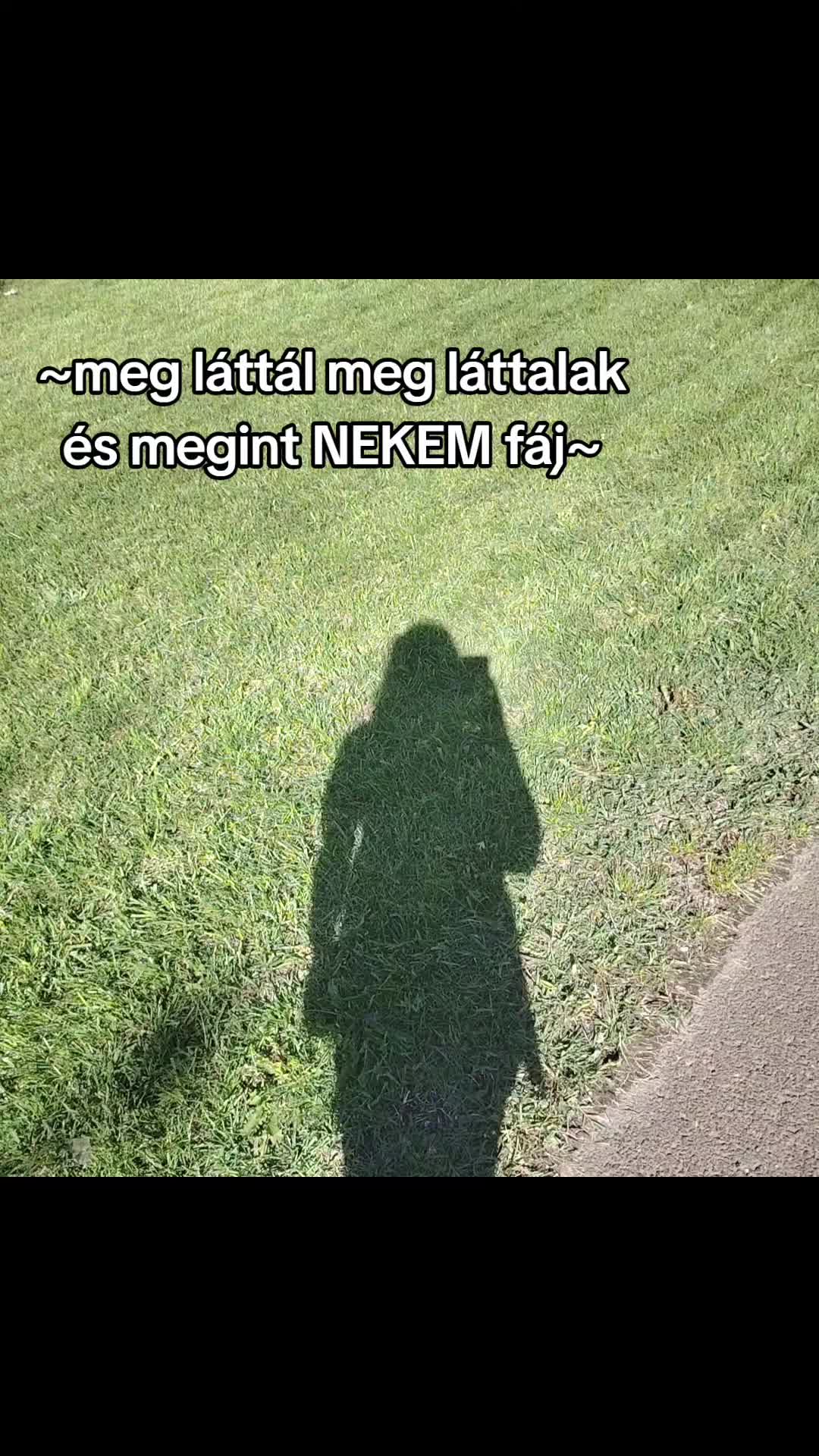 @Hannas_12