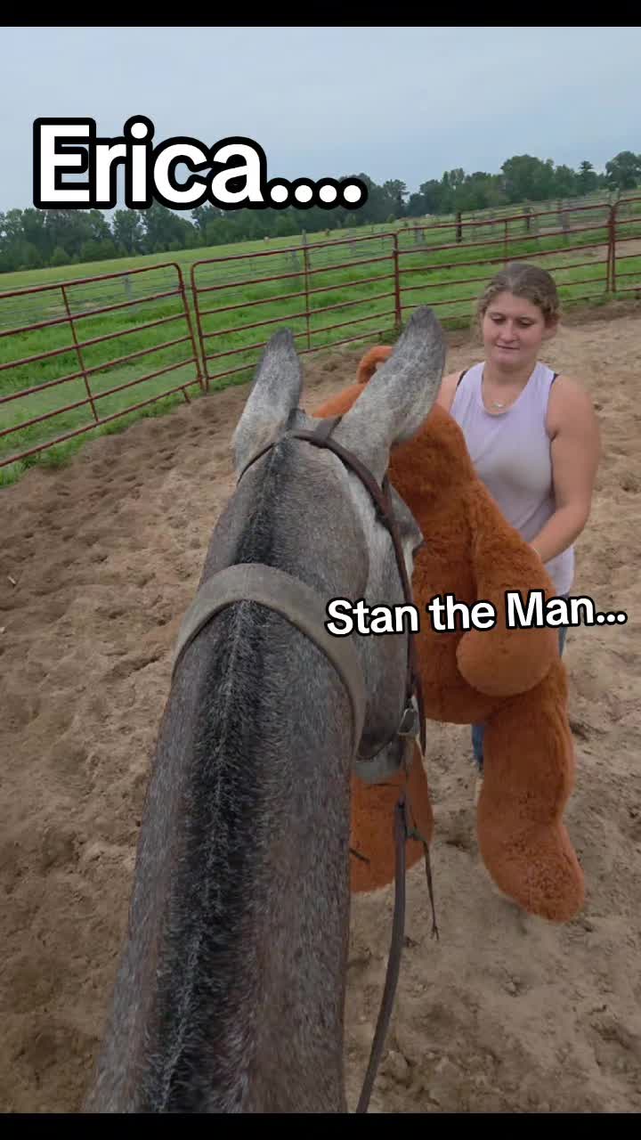 @CactusLMules