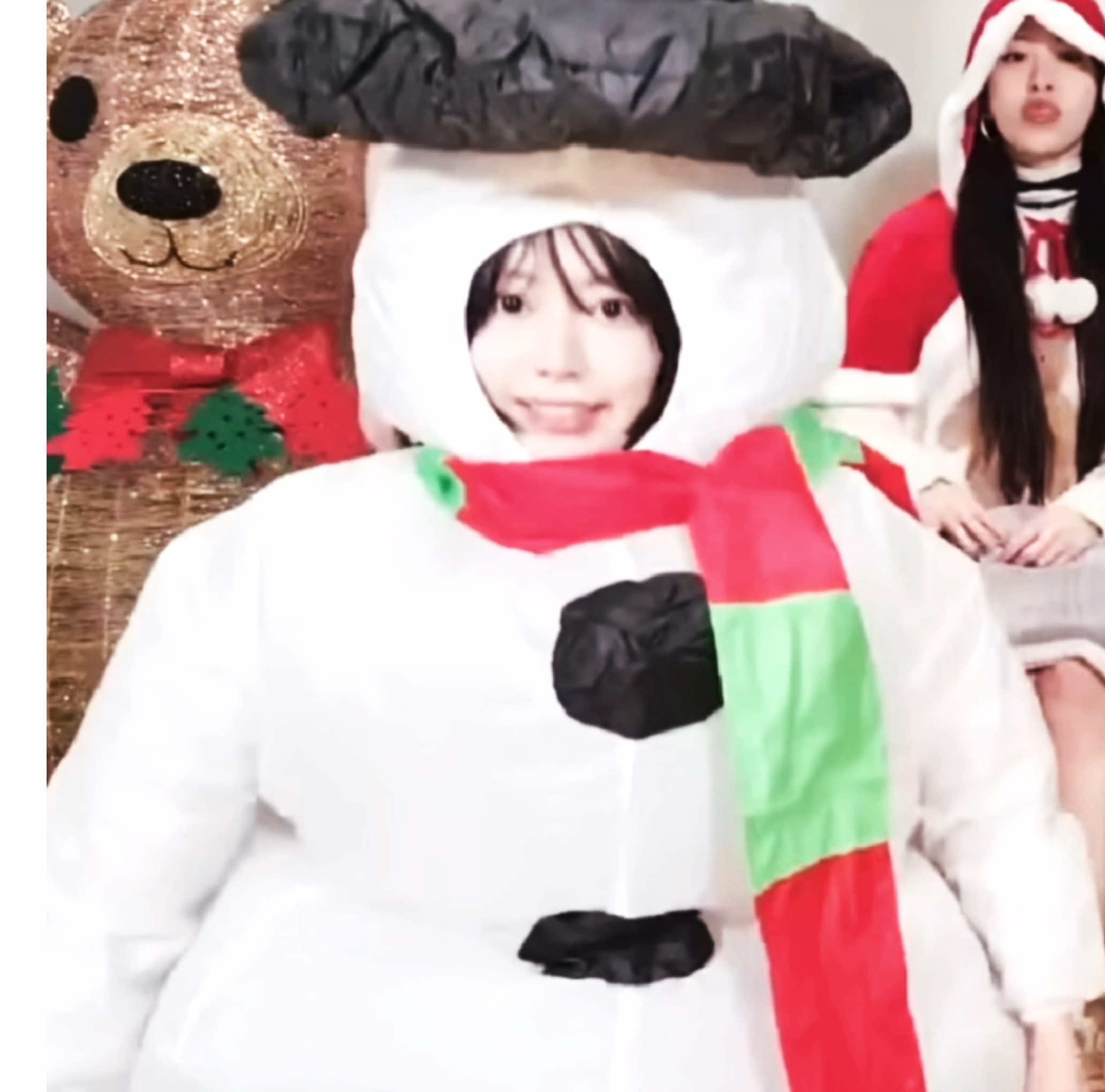 @vivi ❆｡⋆❧