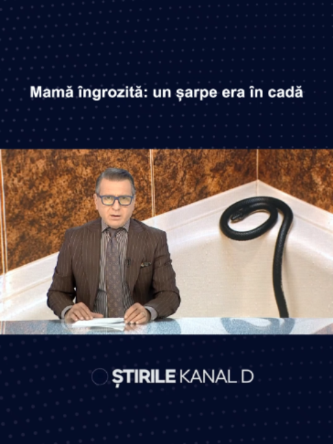 @Stirile Kanal D