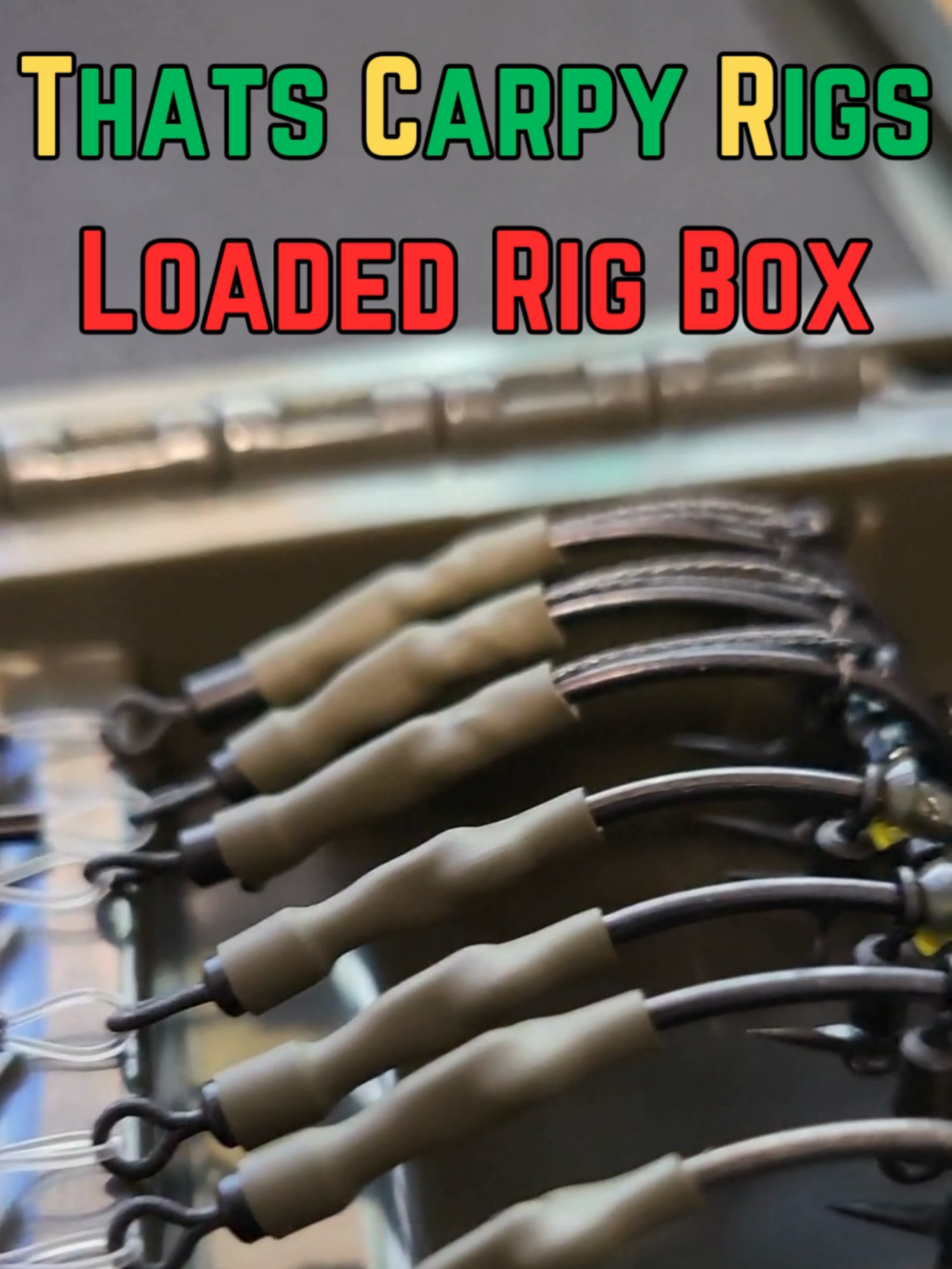 @Thats Carpy Rigs