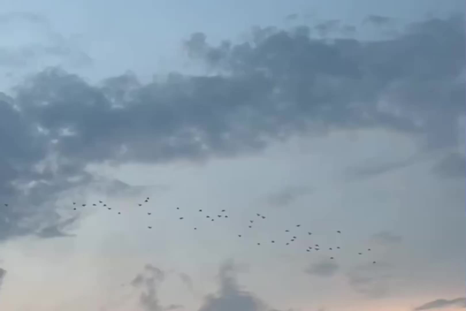 @ʟᴏꜰɪ ᴅʀᴇᴀᴍꜱ