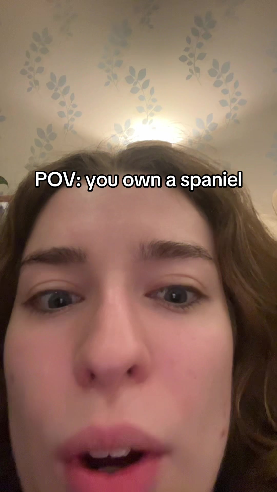 @Harriet