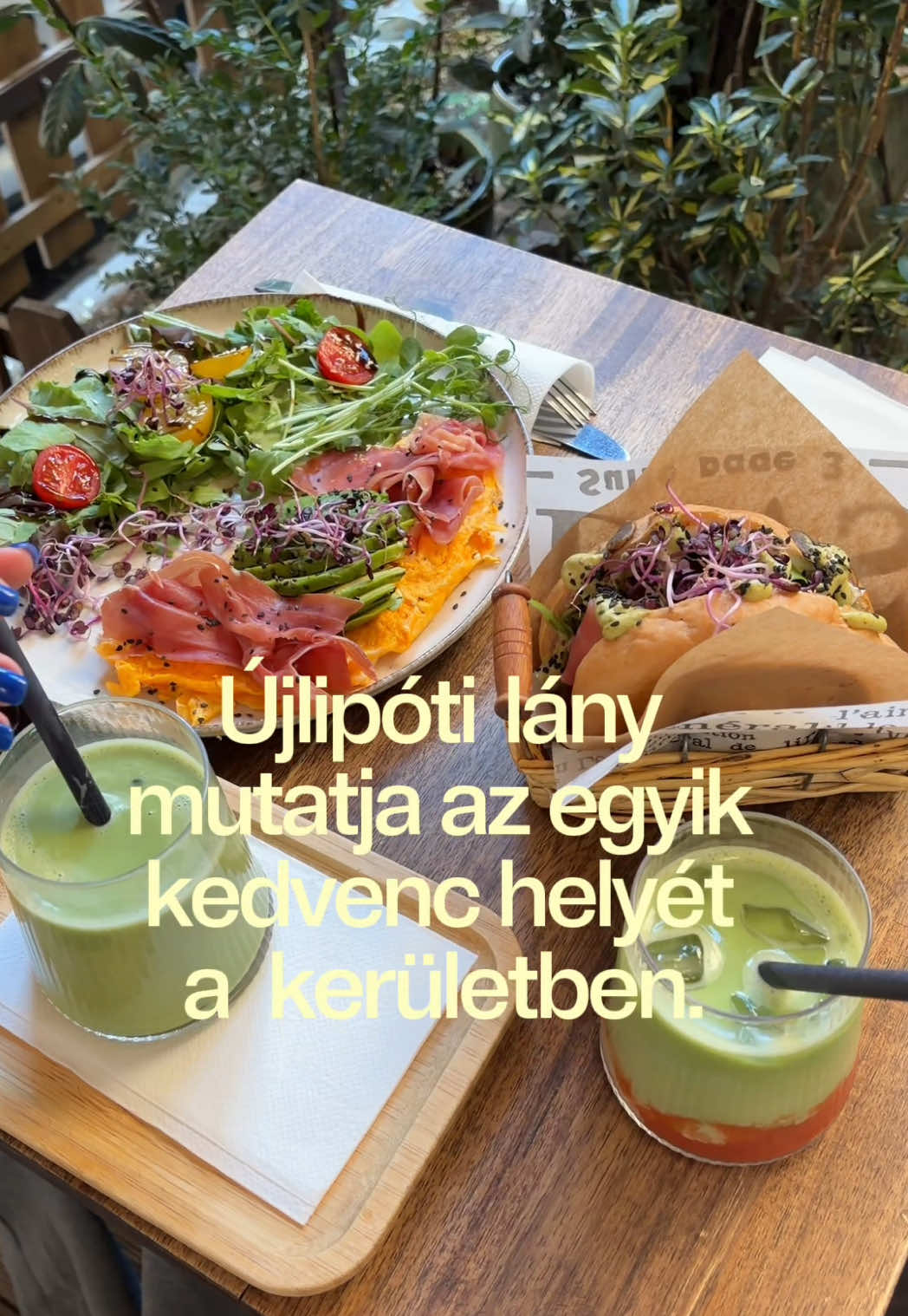 @Blanka Dardai