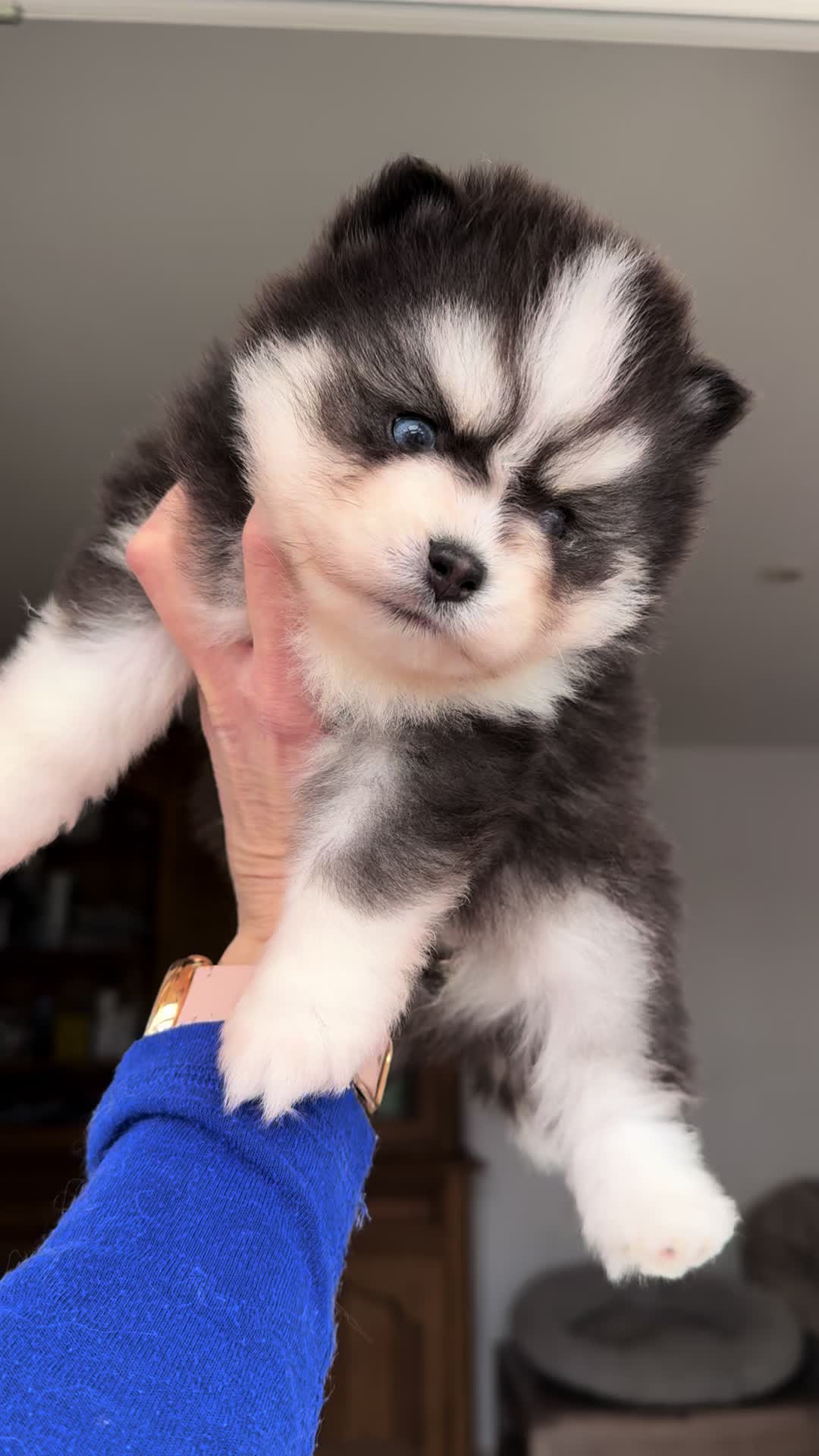 @MCO & POMSKY