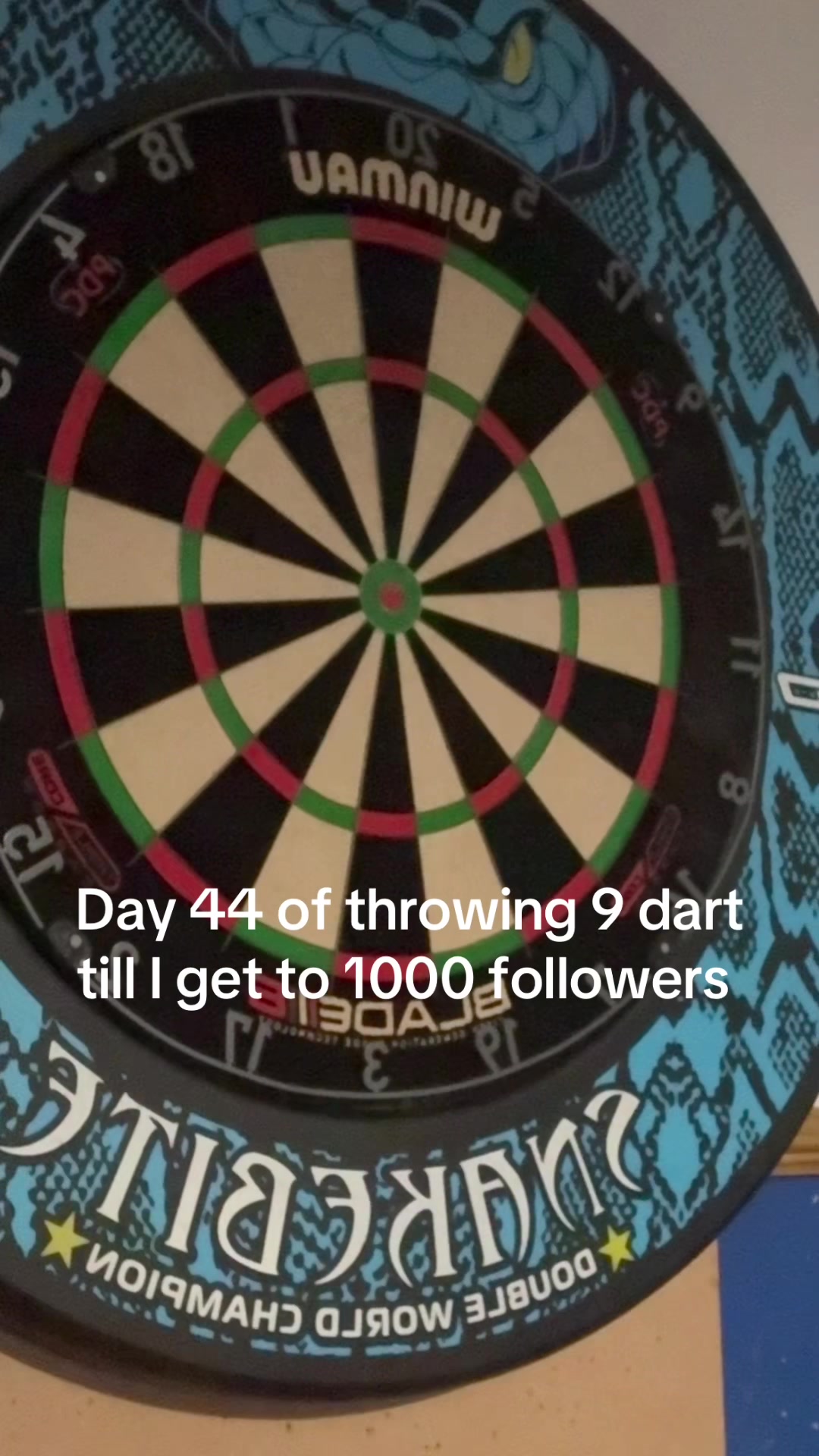 @ryan_darts2009